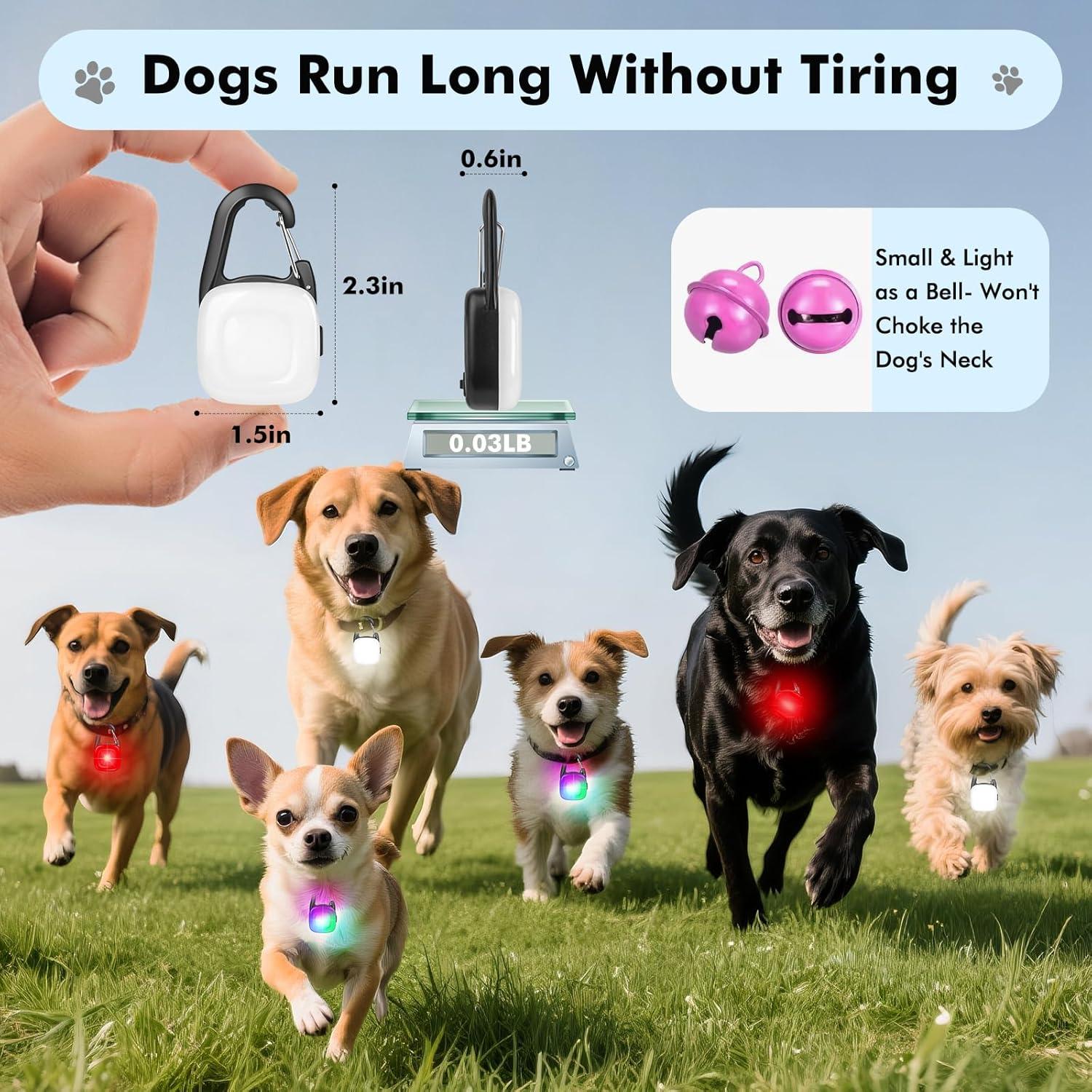 Luces LED Recargables para Perros POEEY - 4 Modos, IP68