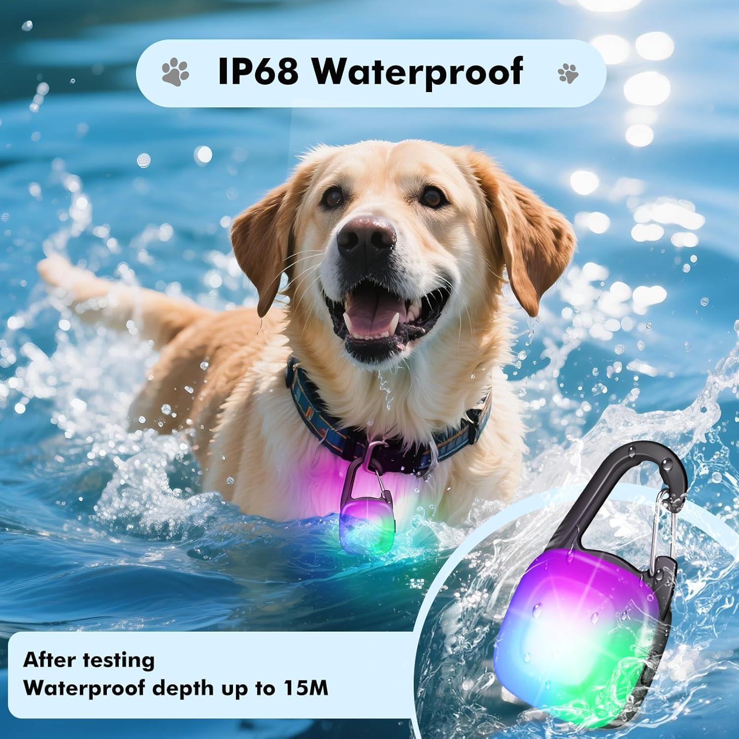 Luces LED Recargables para Perros POEEY - 4 Modos, IP68