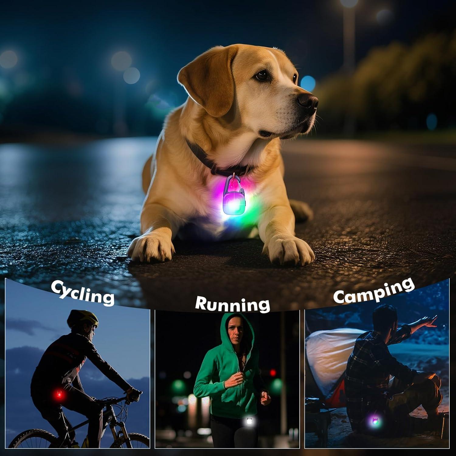 Luces LED Recargables para Perros POEEY - 4 Modos, IP68