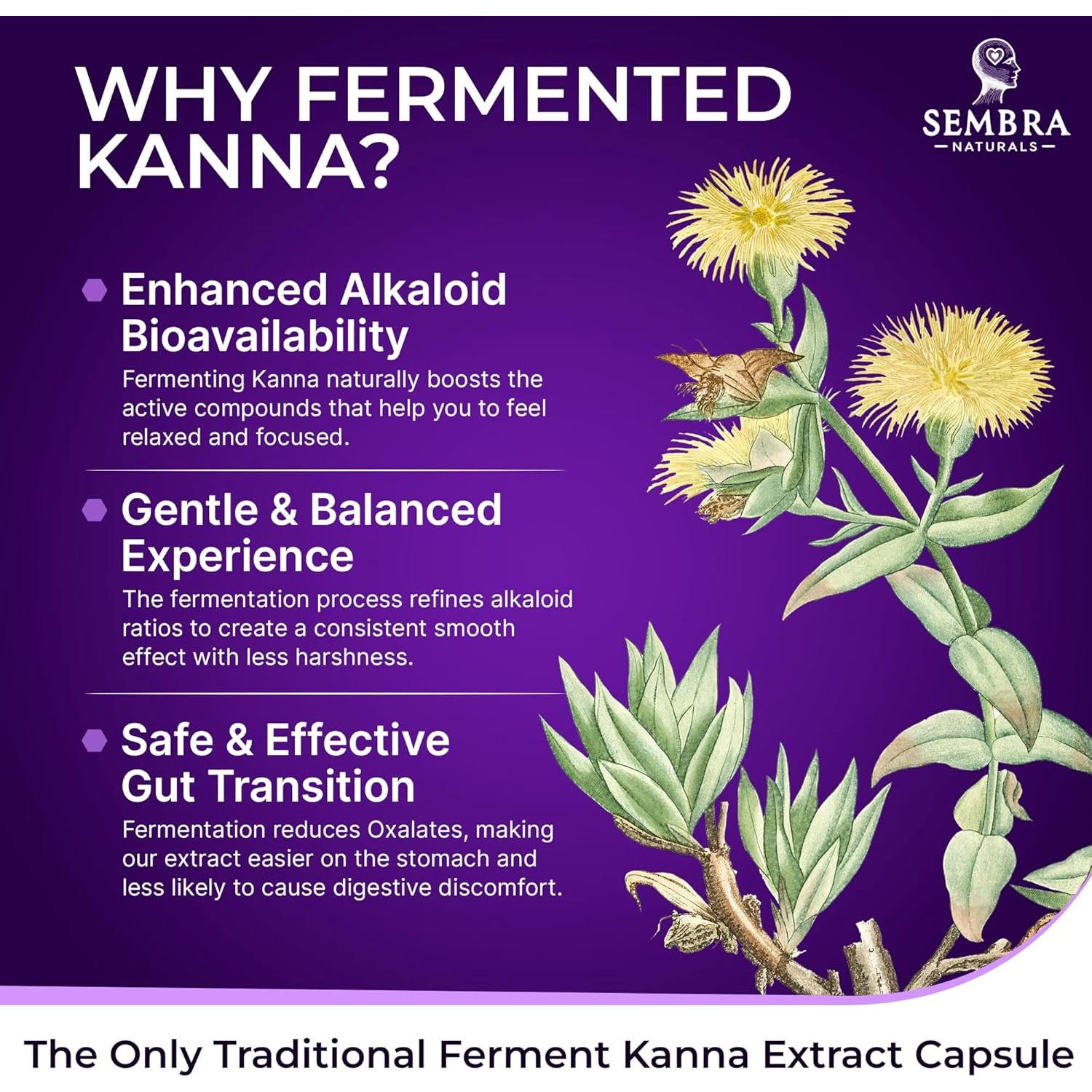 KANNAFOCUS Extracto Natural de Kanna 50mg - 30 Cápsulas