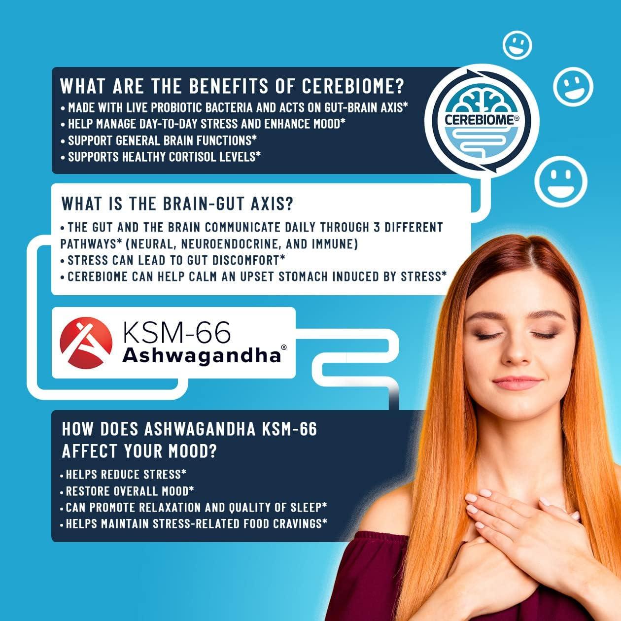 Suplemento Probiotico Nutricelebrity Alivio Estrés 60 Cápsulas