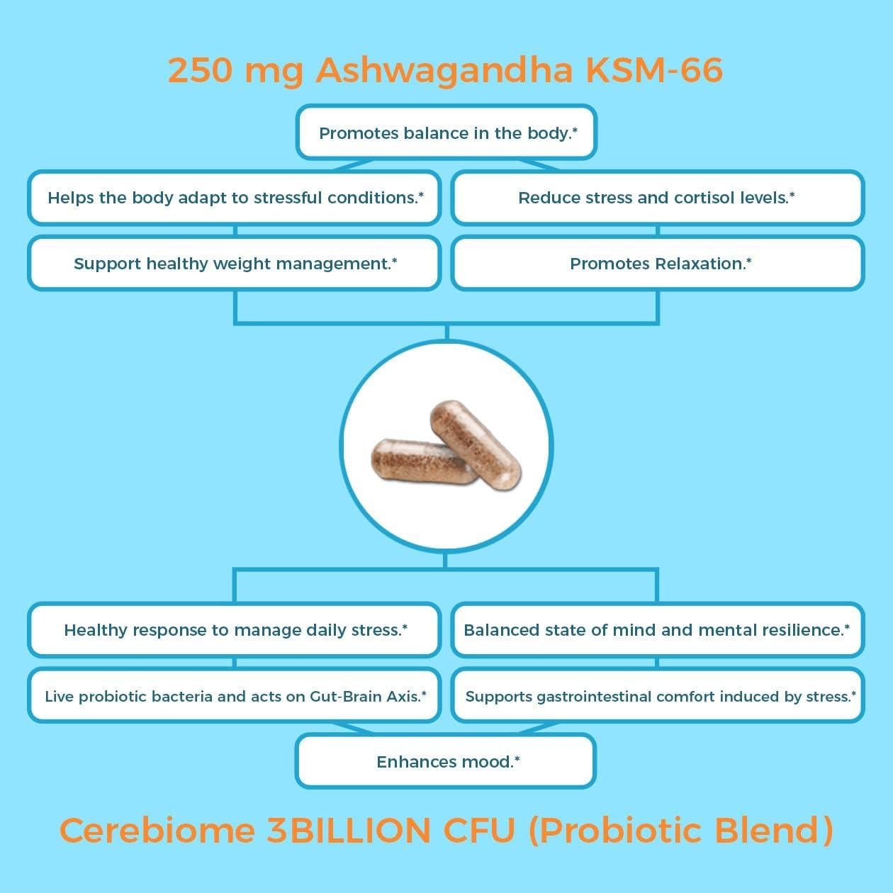 Suplemento Probiotico Nutricelebrity Alivio Estrés 60 Cápsulas