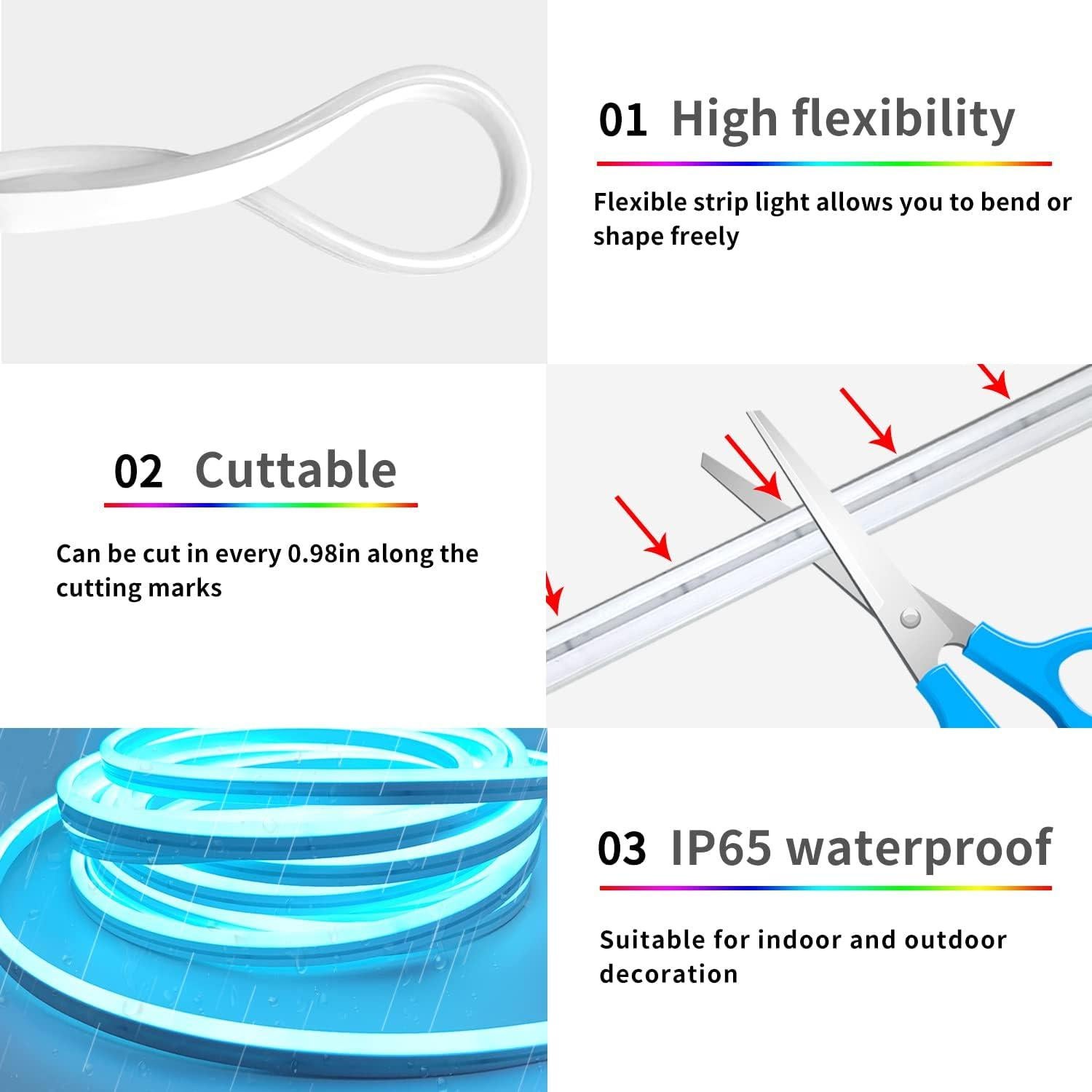 Tira de Luces LED Neón 10m Segrass RGB IP65 Control Remoto