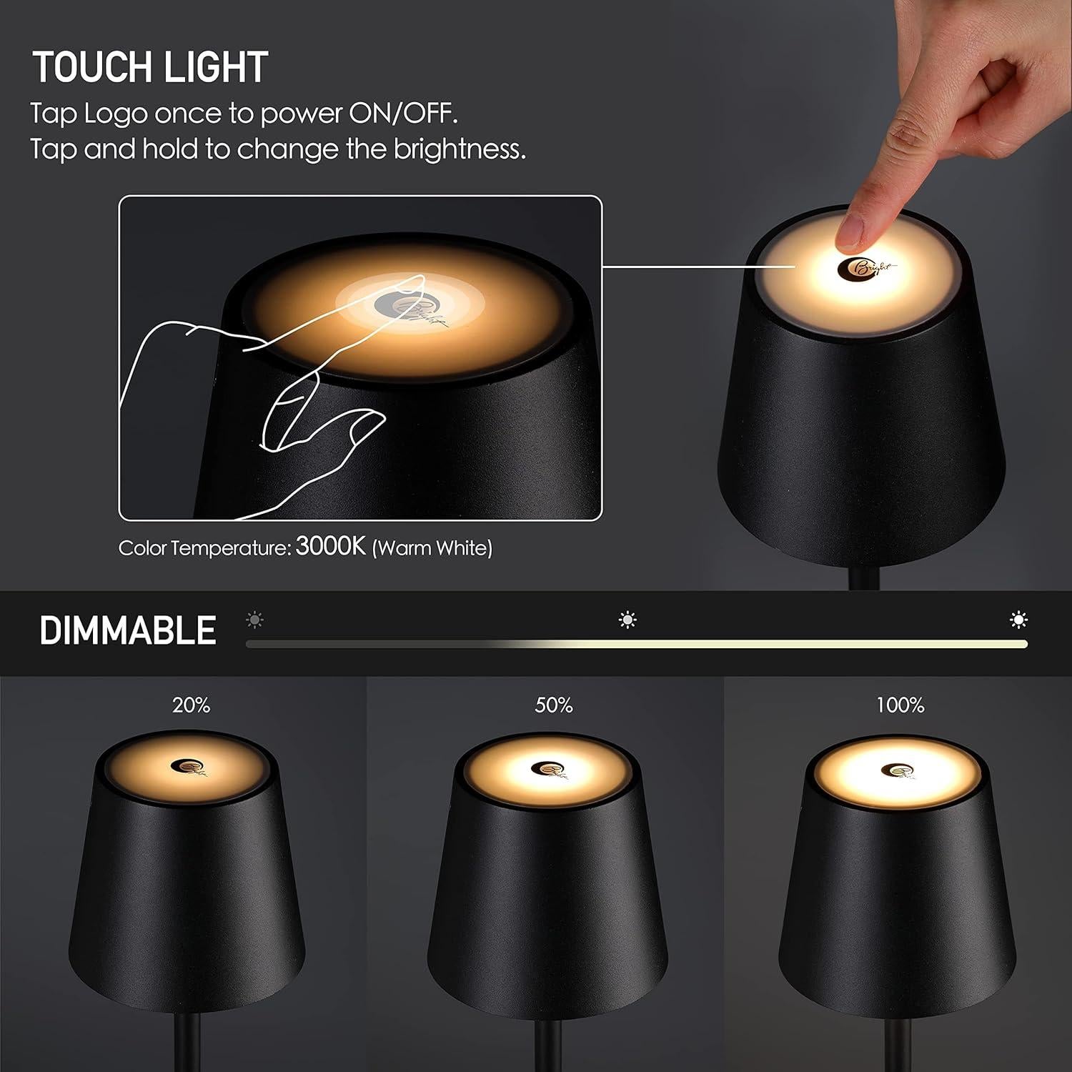 Lámpara de Pie LED O'Bright OB-FL21B Recargable Negra