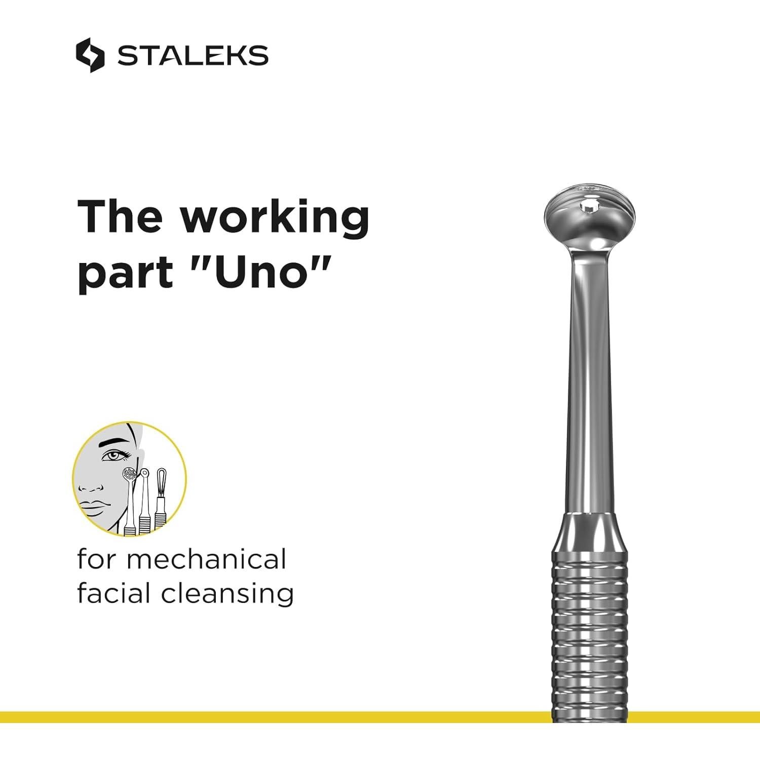 Cuchara Extractora de Comedones Staleks Pro ZE-20/2 Doble Cara
