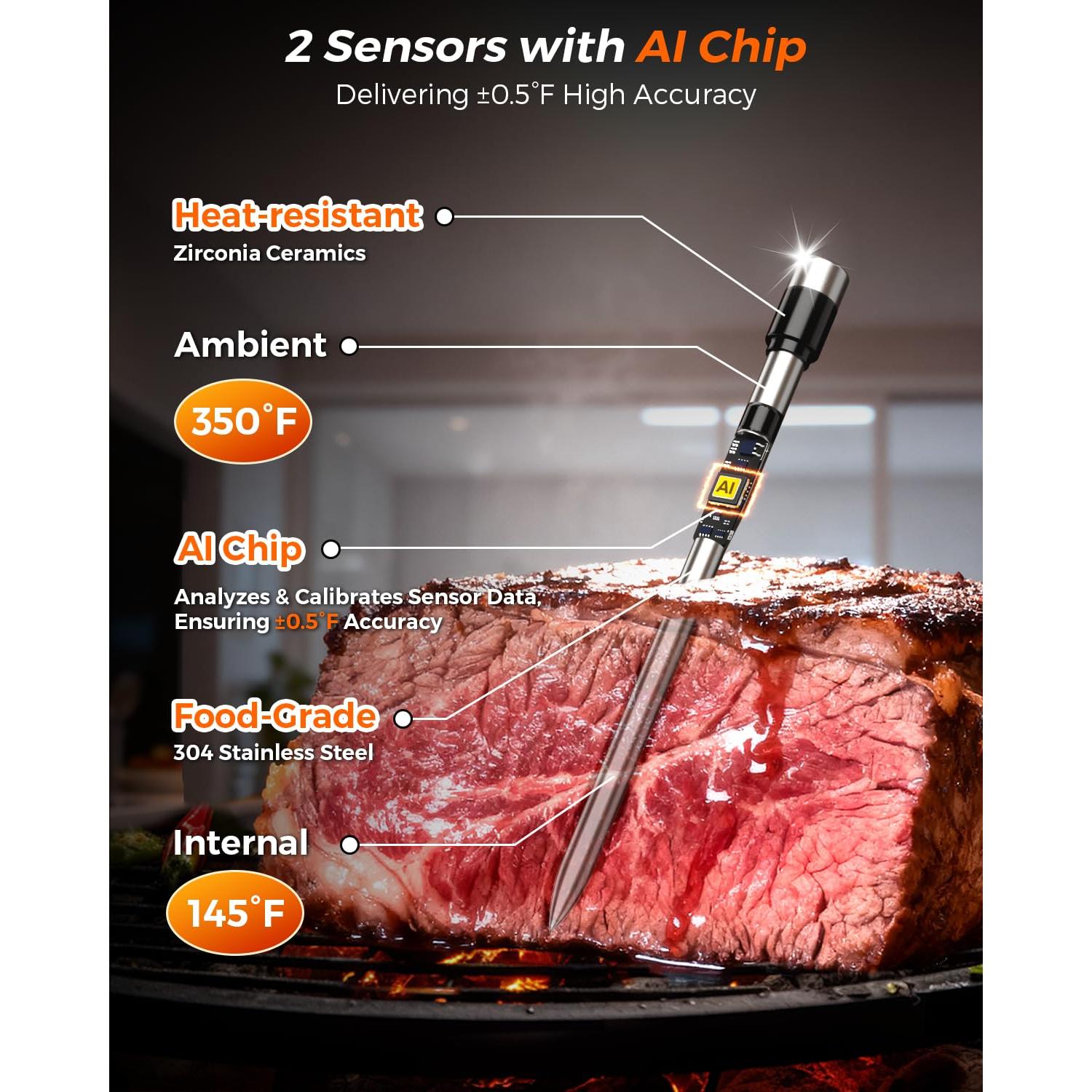 Termómetro de Carne Inalámbrico Alfolive HK-W02, 2 Sondas