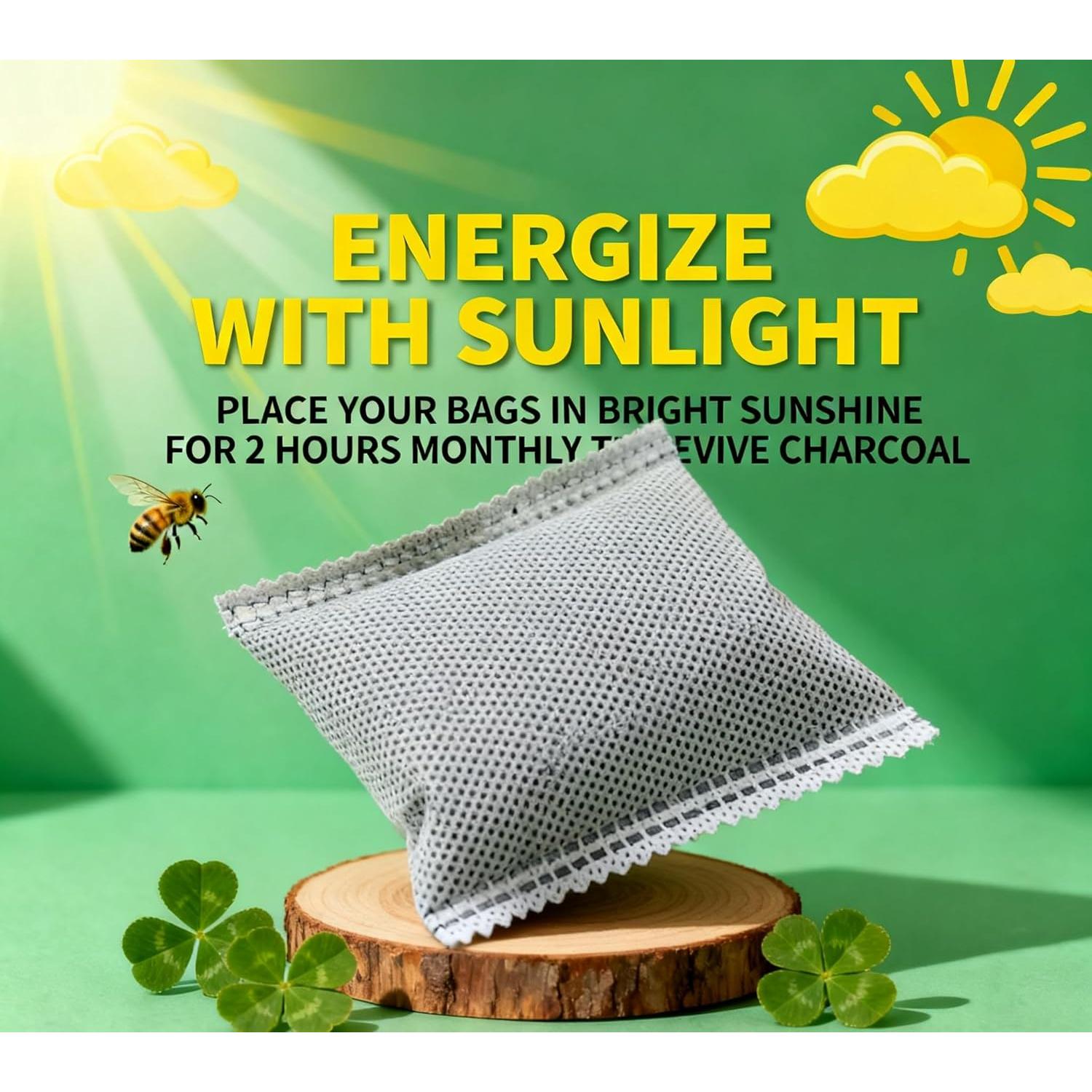 Paquete de 2 Absorbentes de Olores BOHLJRUI Carbón Activado