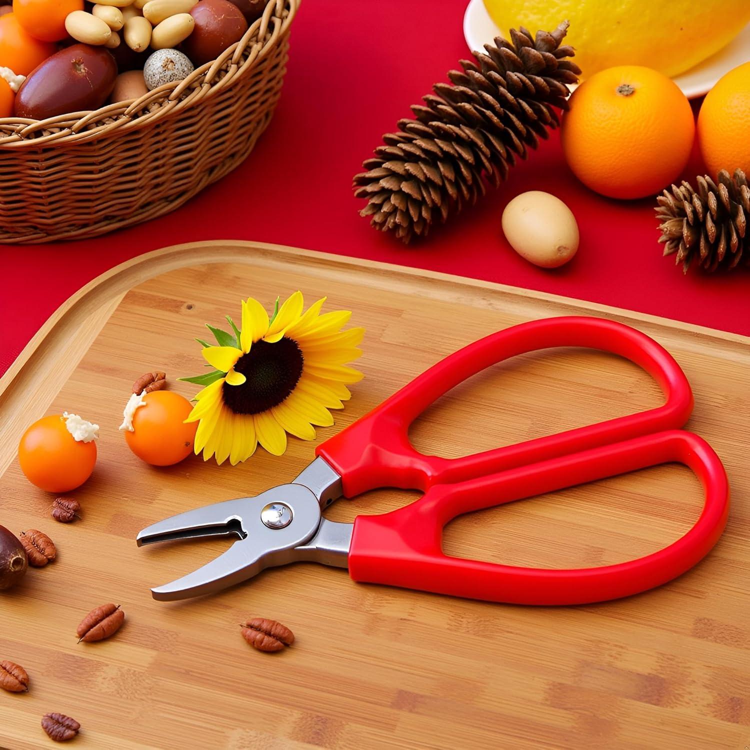 Alicates para romper semillas BWESOO rojo, 16.9 cm, metal/plástico