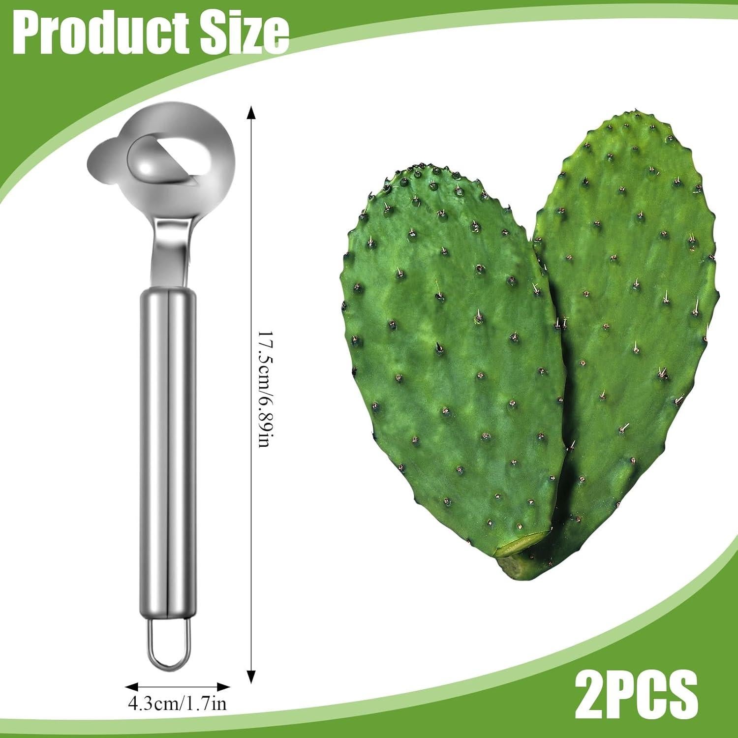 Paquete de 2 Cucharas Peladoras de Cactus IANFAN Acero Inoxidable