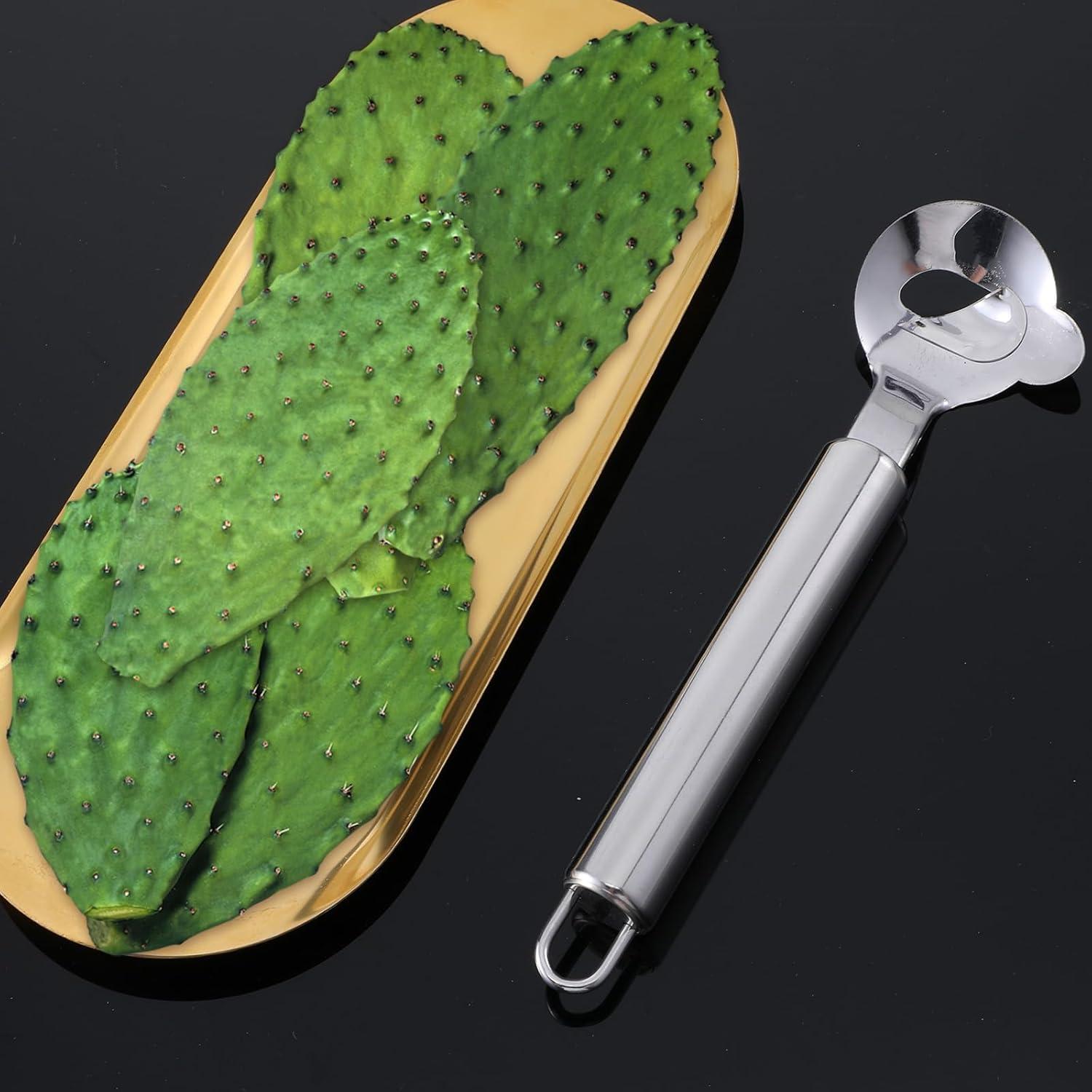 Paquete de 2 Cucharas Peladoras de Cactus IANFAN Acero Inoxidable
