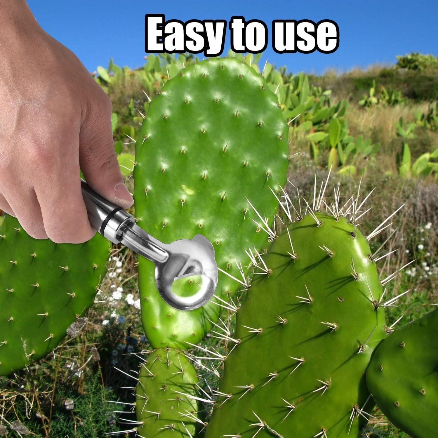 Juego de 3 Peladores de Cactus Lyreh - Acero Inoxidable