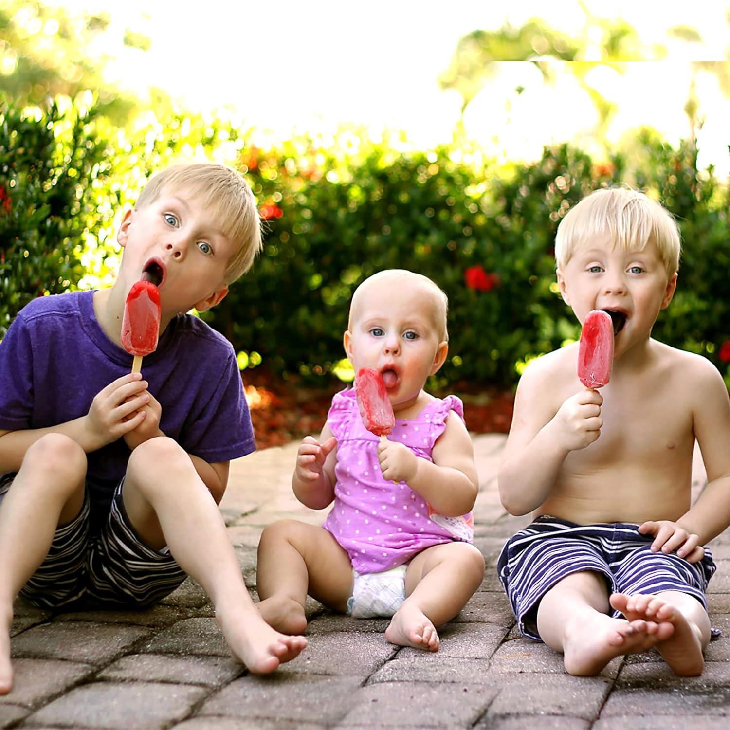 Molde de Paletas de Silicona Mototo 12 Set 4 Cavidades Blanco