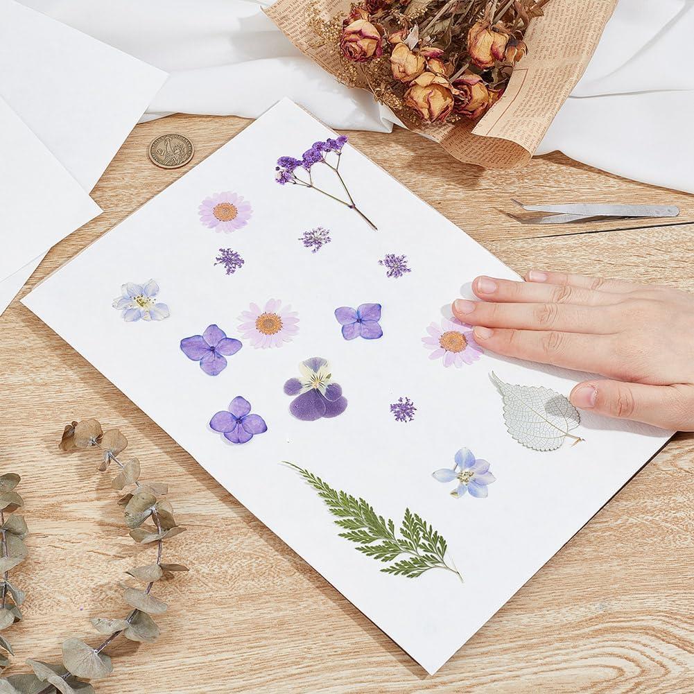 Papel Absorbente para Prensado de Flores OLYCRAFT 50Pcs 30.5x20.3cm