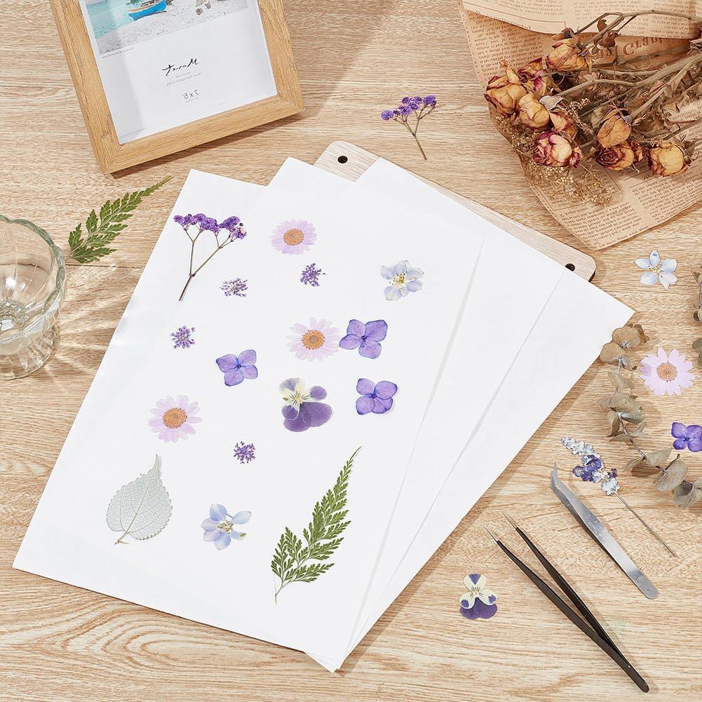 Papel Absorbente para Prensado de Flores OLYCRAFT 50Pcs 30.5x20.3cm