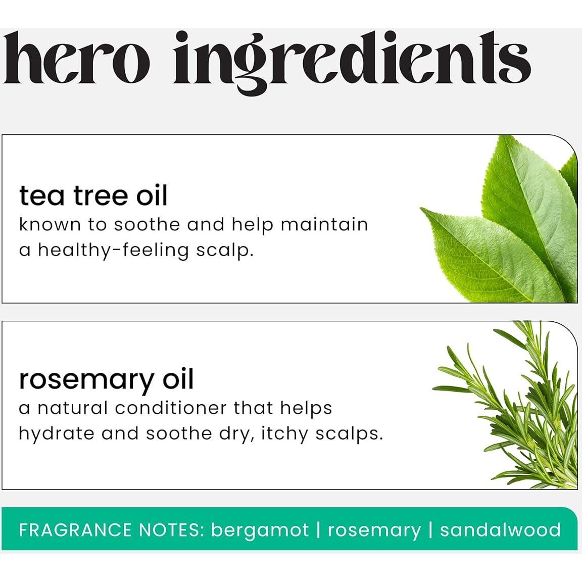 Set Champú y Acondicionador HASK 473ml Aceite de Árbol de Té