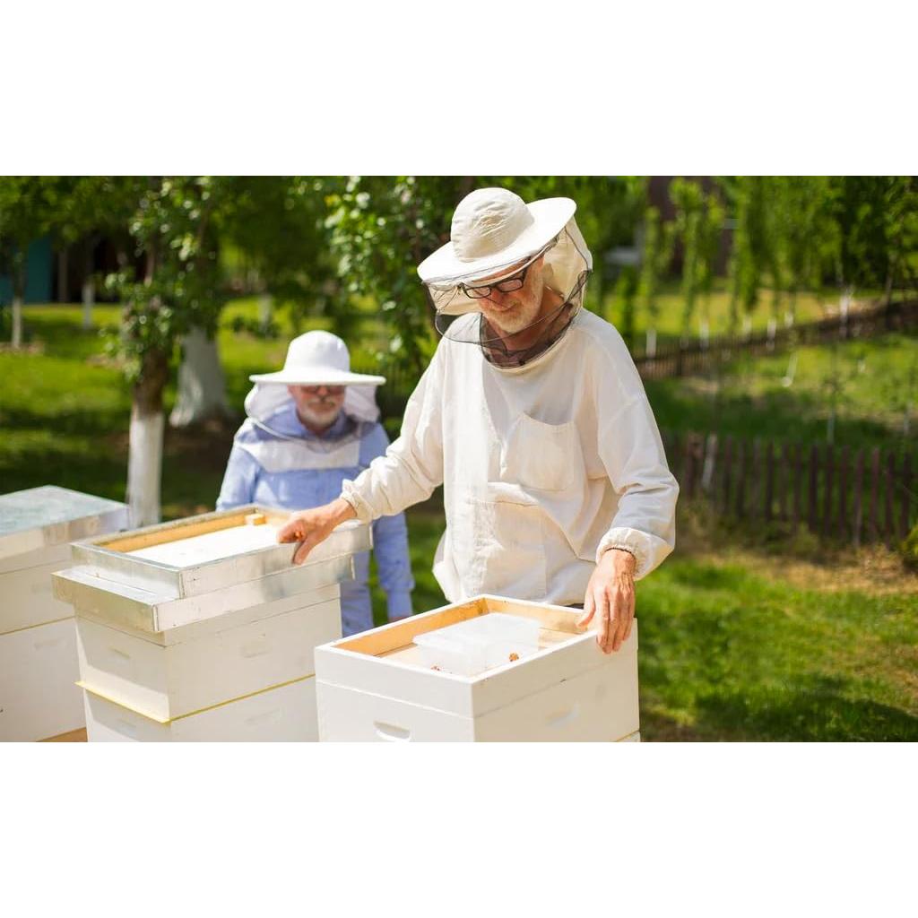 Miel de Manuka Pura Streamland 248g UMF 20+ MGO 826+ Natural