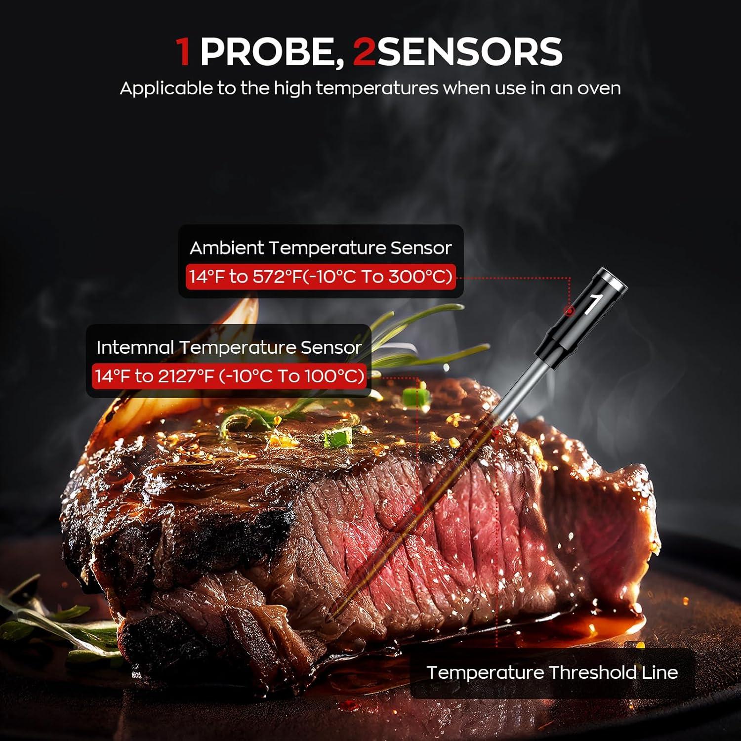 Termómetro de Carne Inalámbrico ROUUO XY-M02-BG con Bluetooth y WiFi