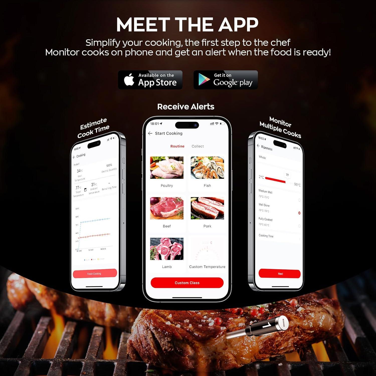 Termómetro de Carne Inalámbrico ROUUO XY-M02-BG con Bluetooth y WiFi