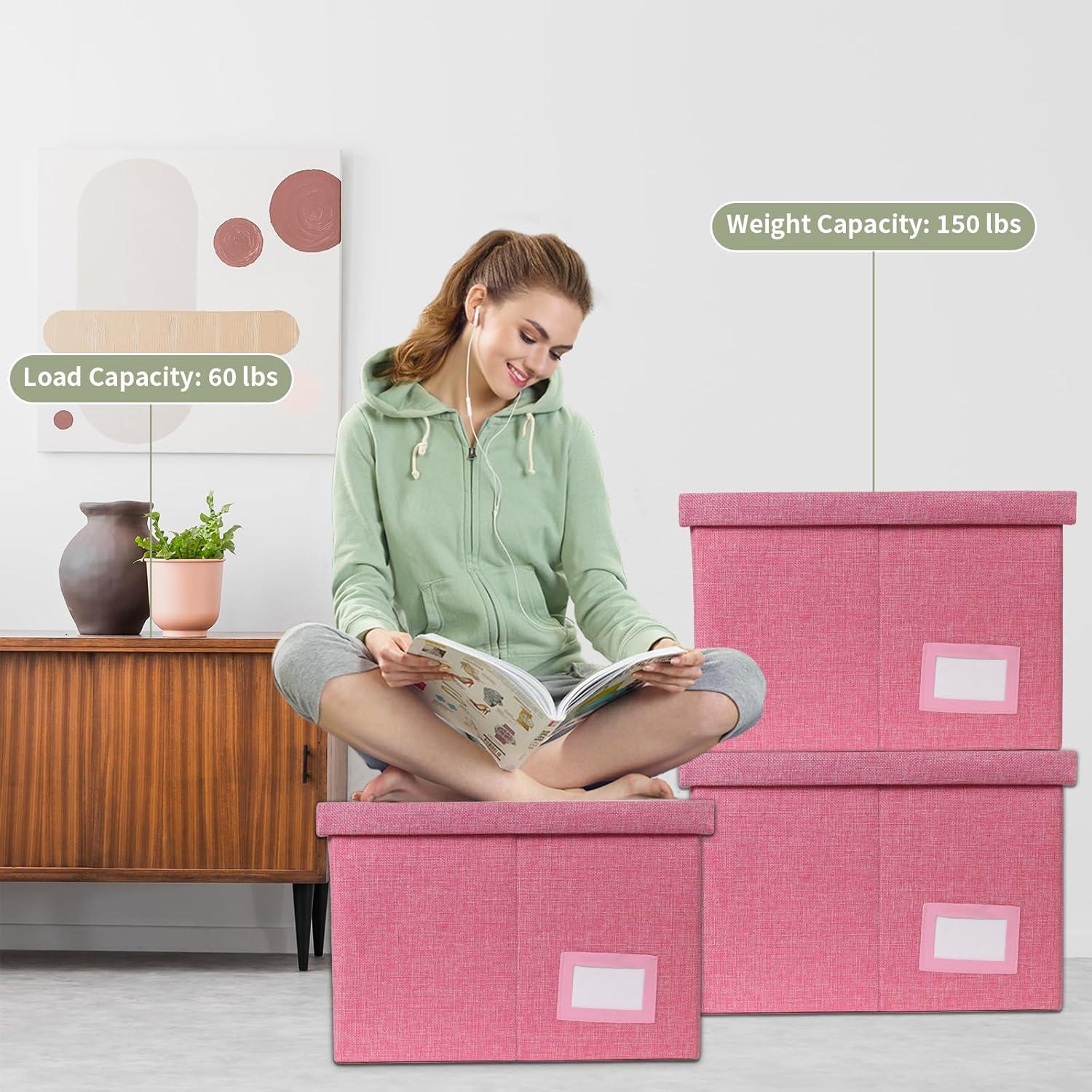 Caja Organizadora de Archivos Plegable Rosa Tcbelosion 34.89L