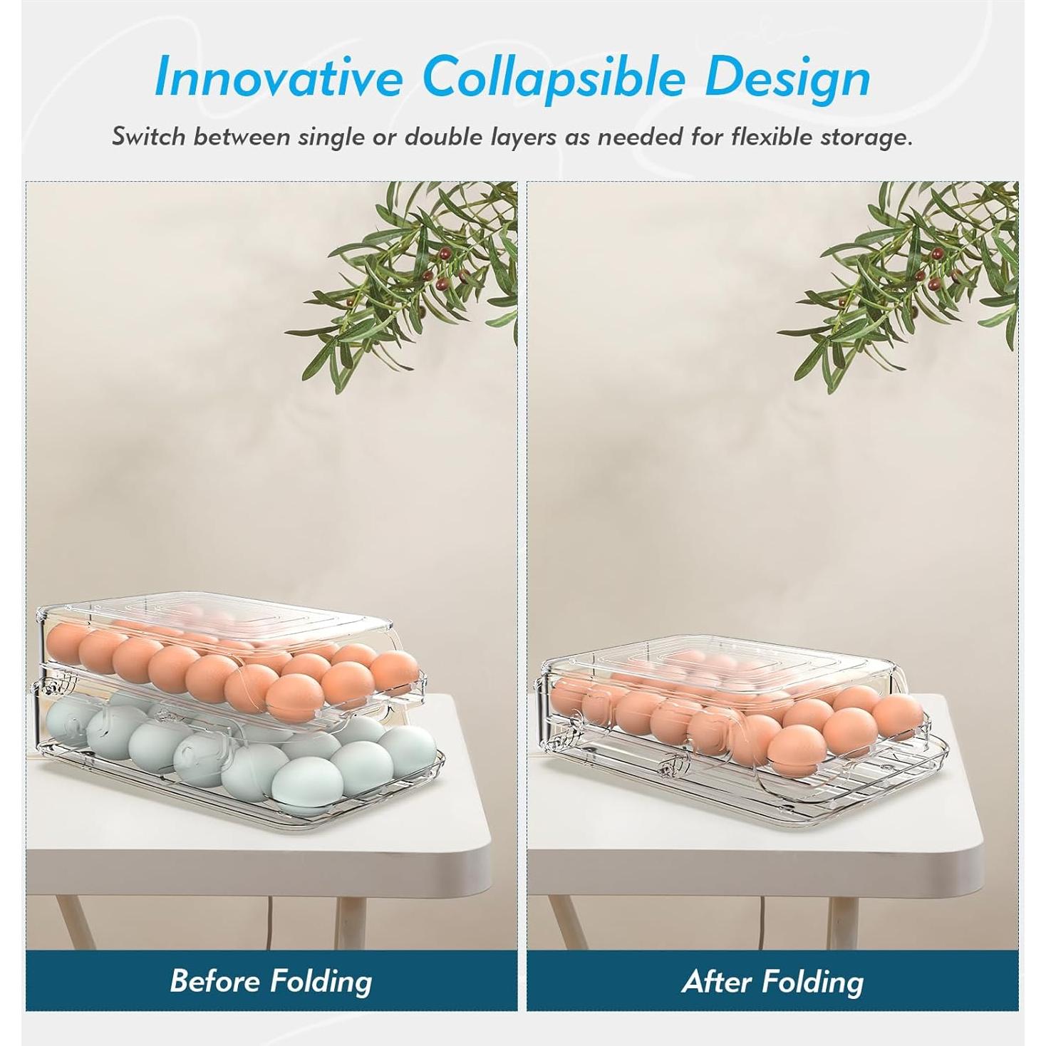 Organizador de Huevos GleeNflux Plegable 42 Huevos Transparente