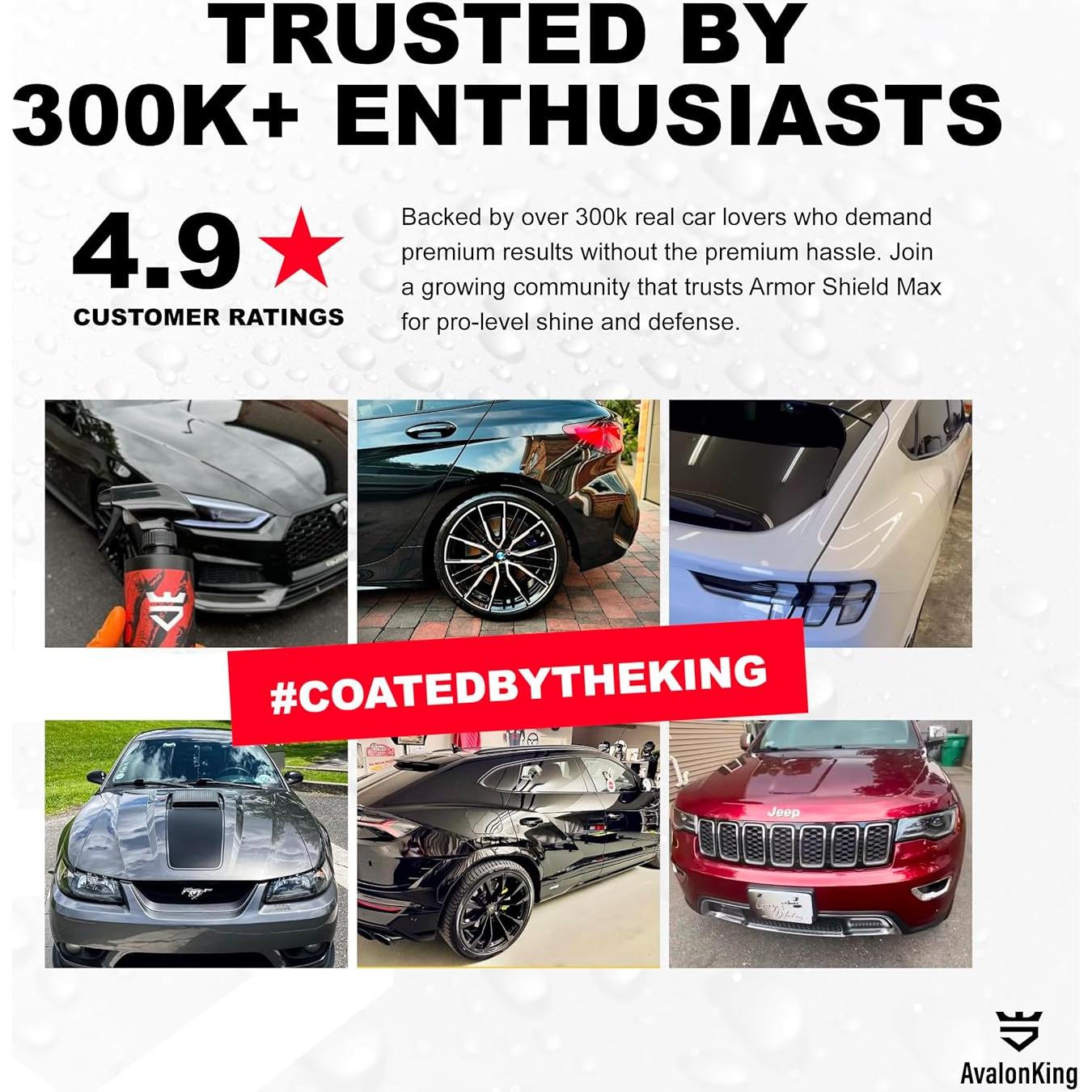 Recubrimiento Cerámico Nano AvalonKing Armor Shield IX MAX 30ml