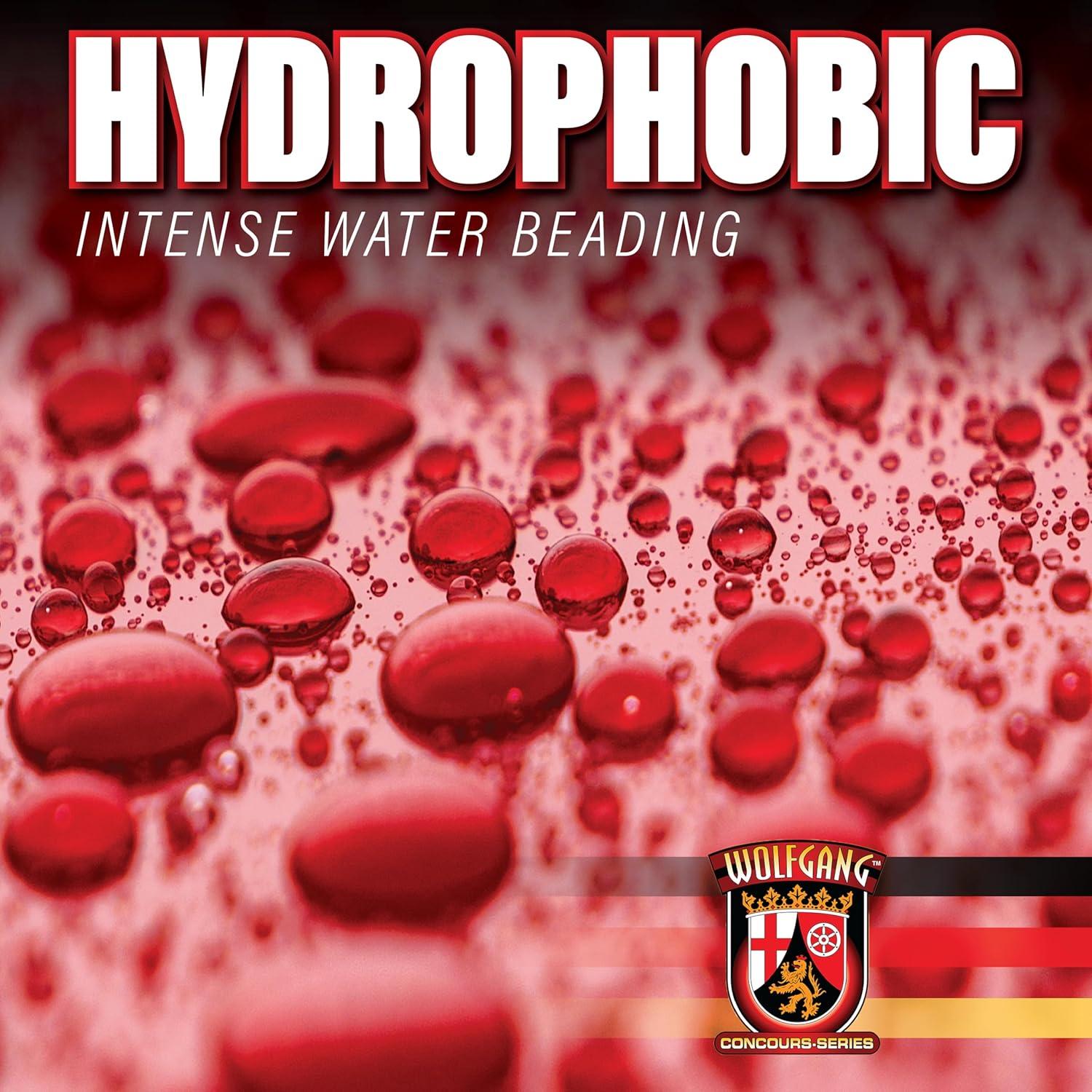 Sello de Pintura Wolfgang Concours WG-0055 473 ml Hidrofóbico