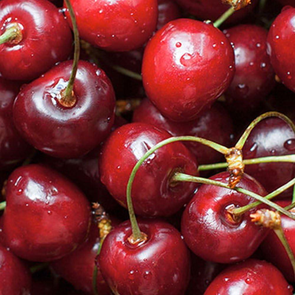 Ambientador Chemical Guys AIR22804 Cereza Fresca 118.3 ml