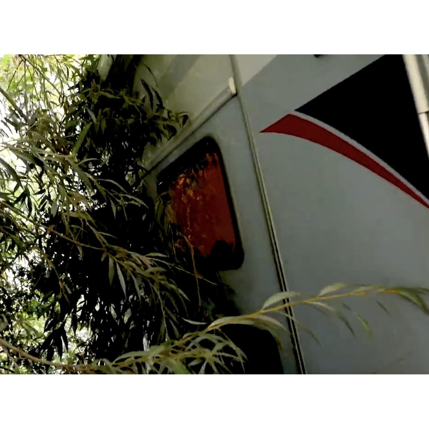 QUIXX Removedor de Rayones Acrílicos 10003 - 49.87g