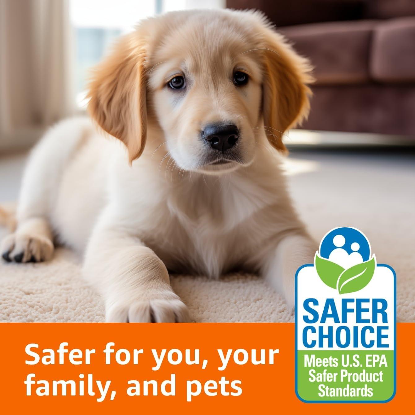 Limpiador de Alfombras Amazon Basics 1.89 L Oxy, Removedor de Manchas