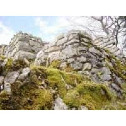 Kit de Modelo Castillo Grenchen Aedes Ars 31x26 cm Multicolor