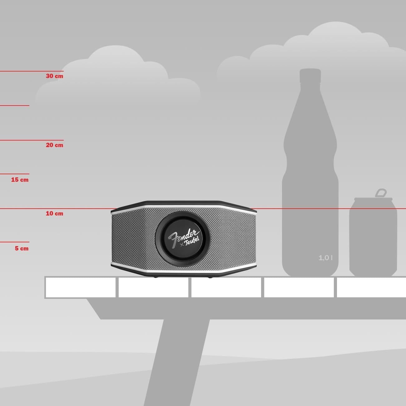 Altavoz Bluetooth Fender x Teufel ROCKSTER GO 2 - Impermeable, 28h Batería