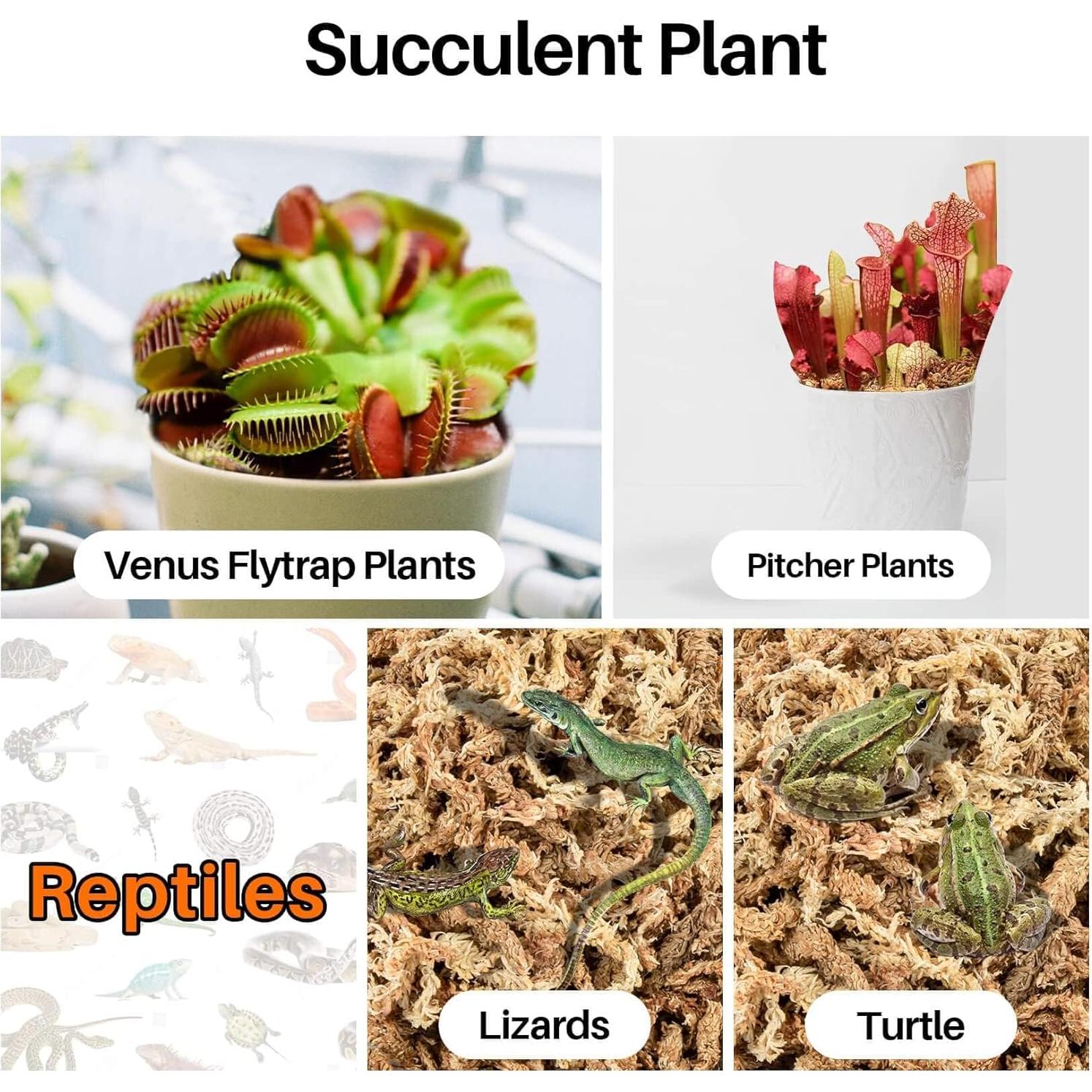 Musgo Sphagnum Seco 85g Spagmoss-OR para Orquídeas y Suculentas