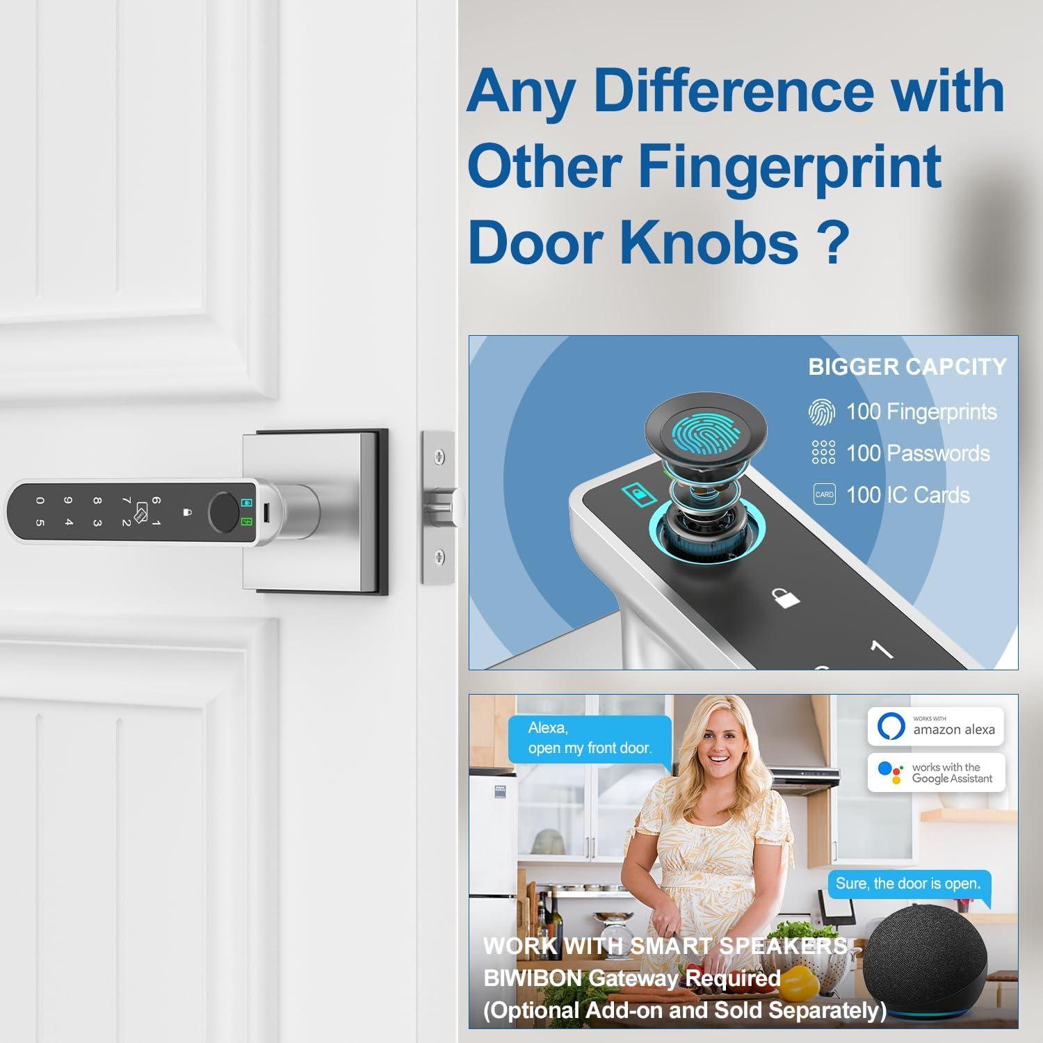 Cerradura Biométrica con Huella Dactilar BIWIBON BCA-02 Plata