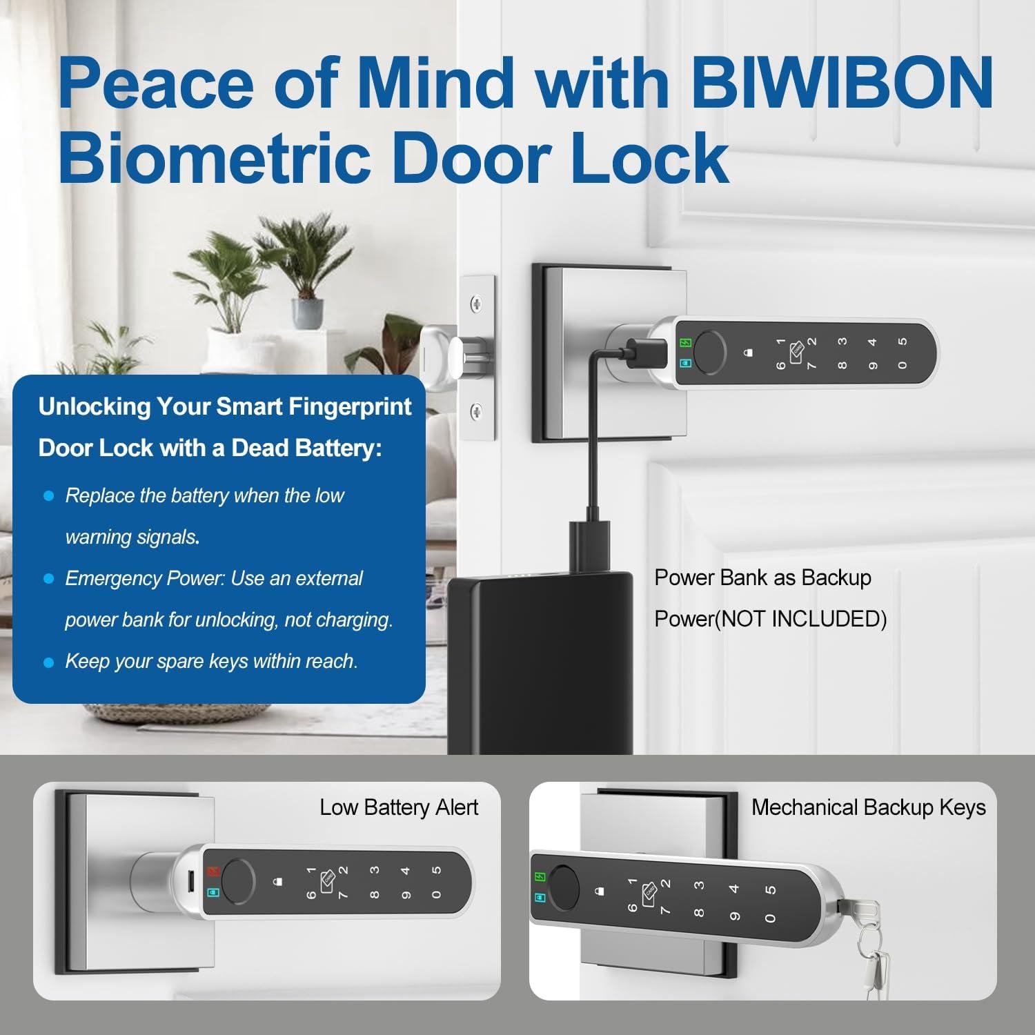 Cerradura Biométrica con Huella Dactilar BIWIBON BCA-02 Plata