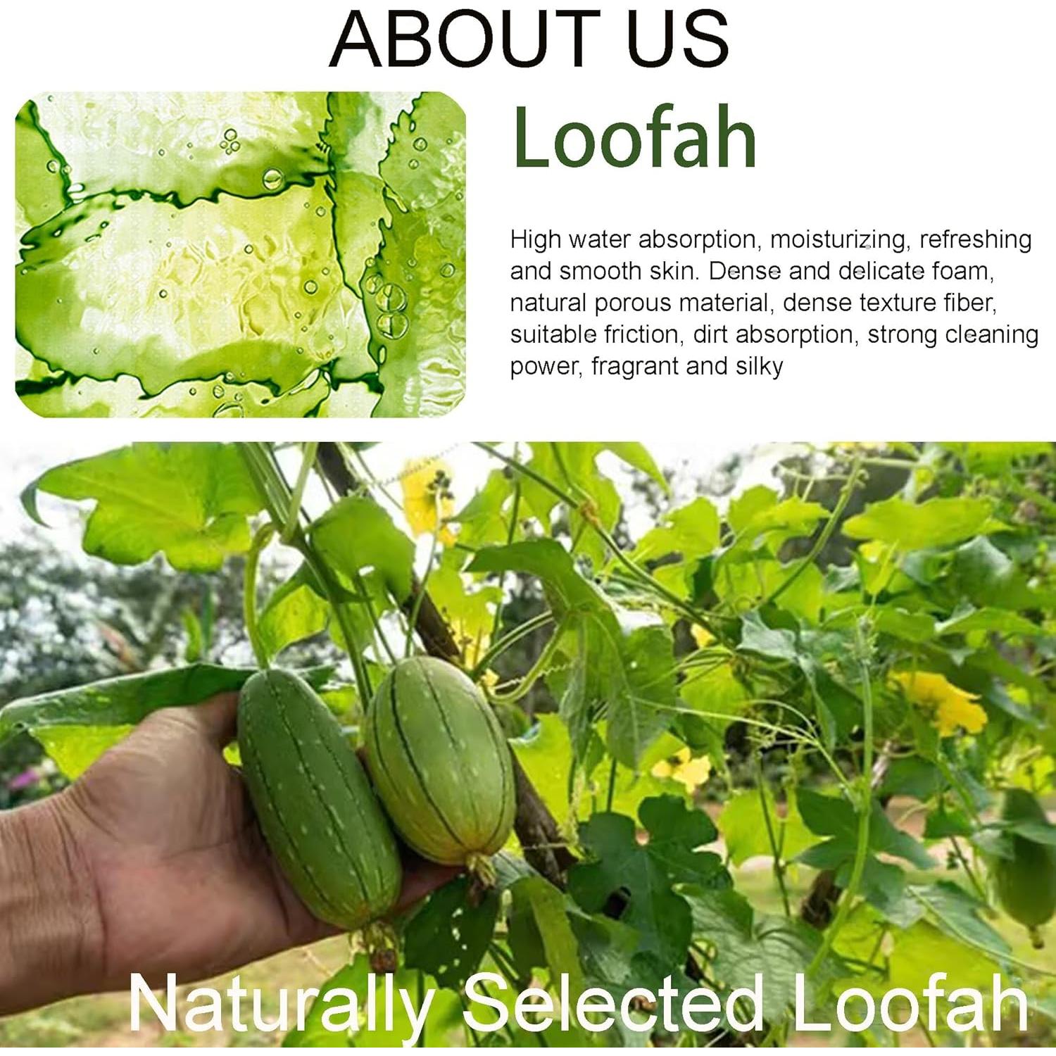 Jabón Natural de Loofah Easilydays Aloe Vera 100g Exfoliante