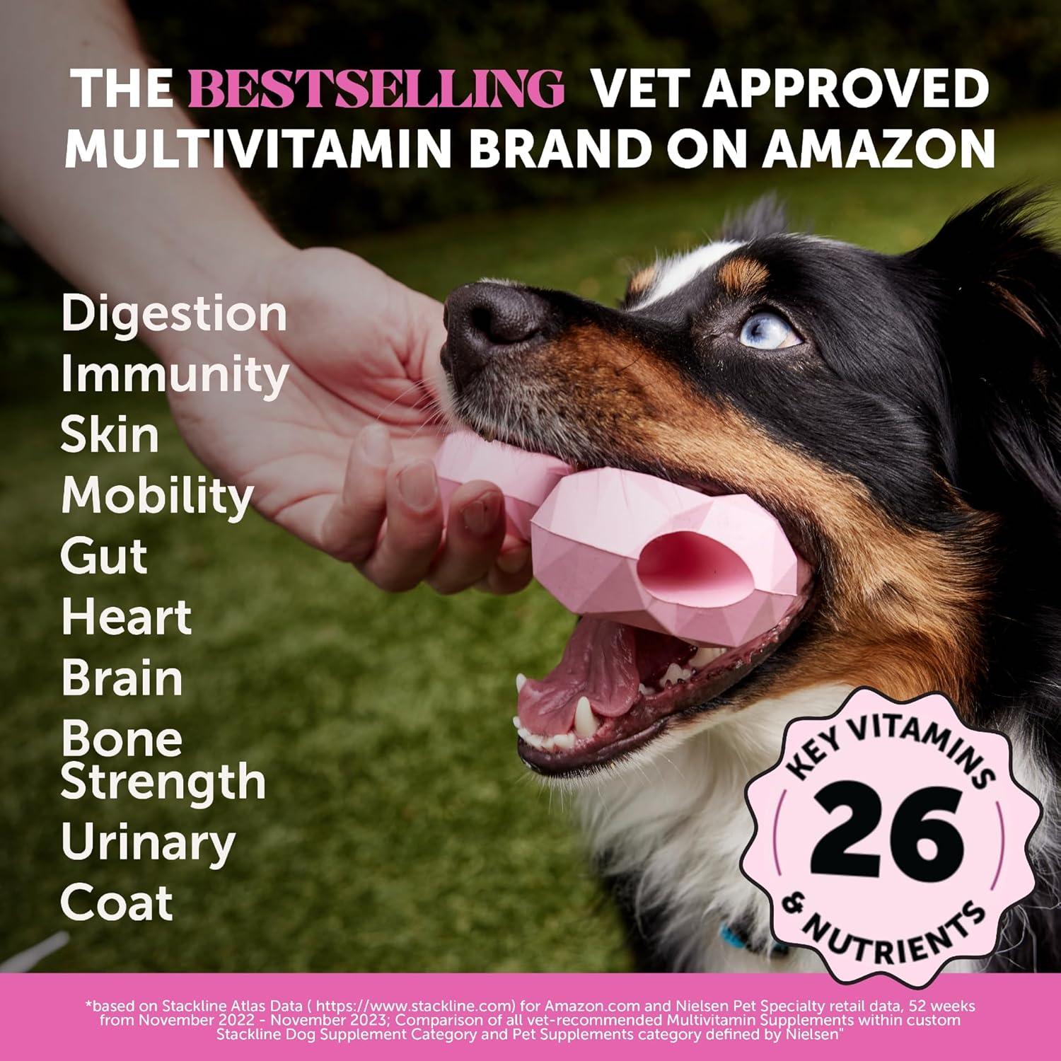 Multivitamina para Perros Honestidad 10 en 1 Pollo 180 ct
