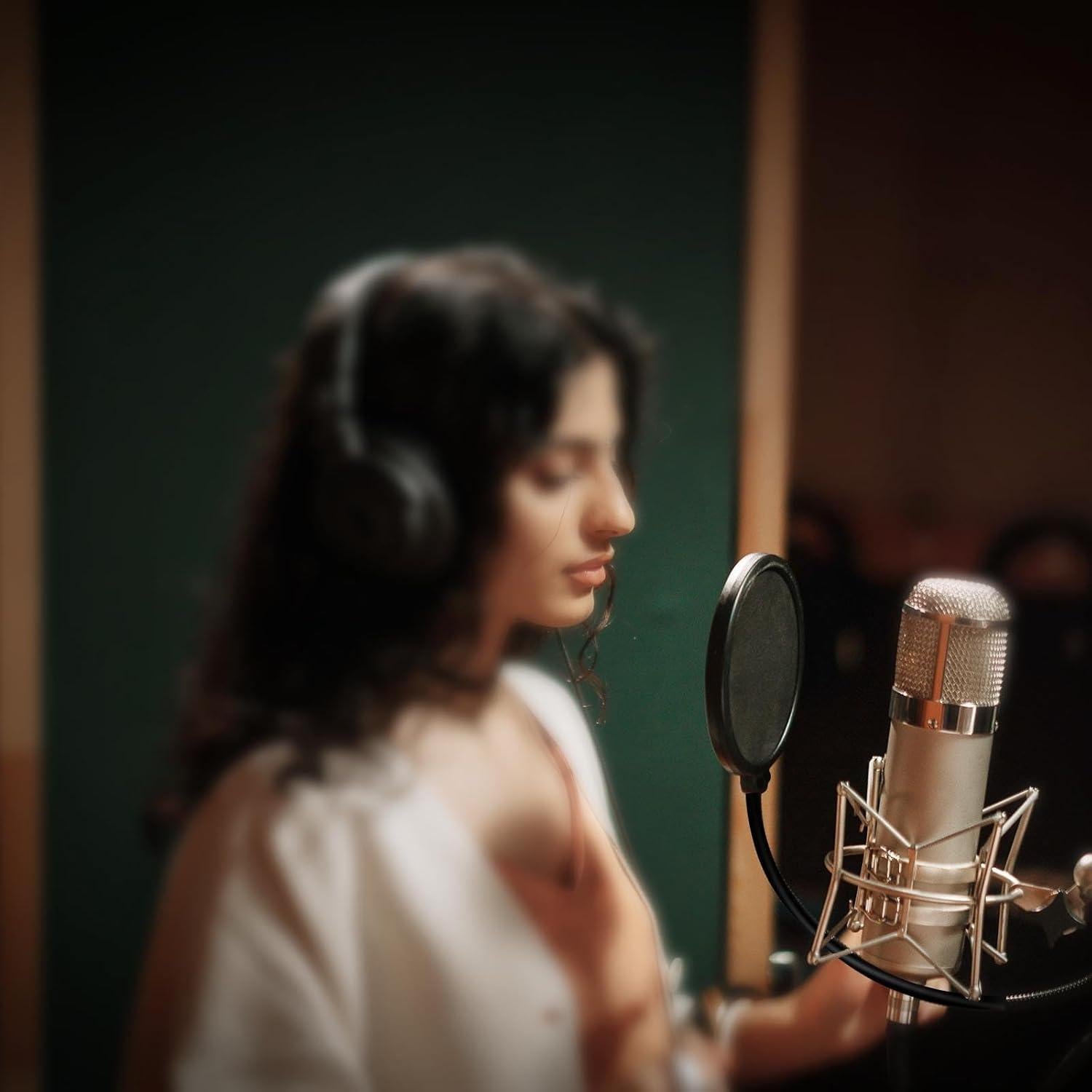 Filtro Pop Doble Capa para Micrófono Blue Yeti - Soporte Ajustable