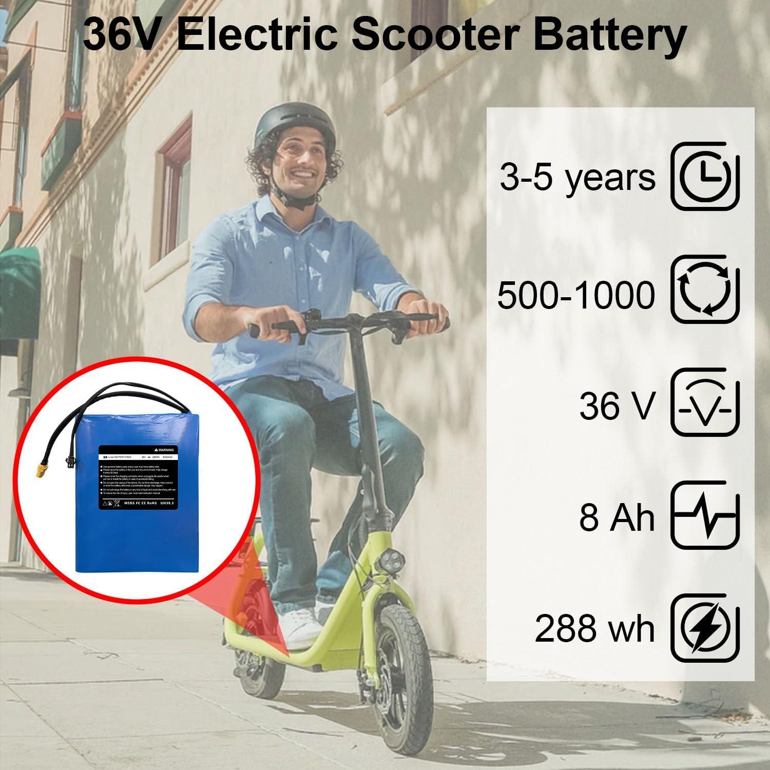 Batería de Scooter Eléctrico 36V 8Ah CBJJ Compatible Phantomgogo R1