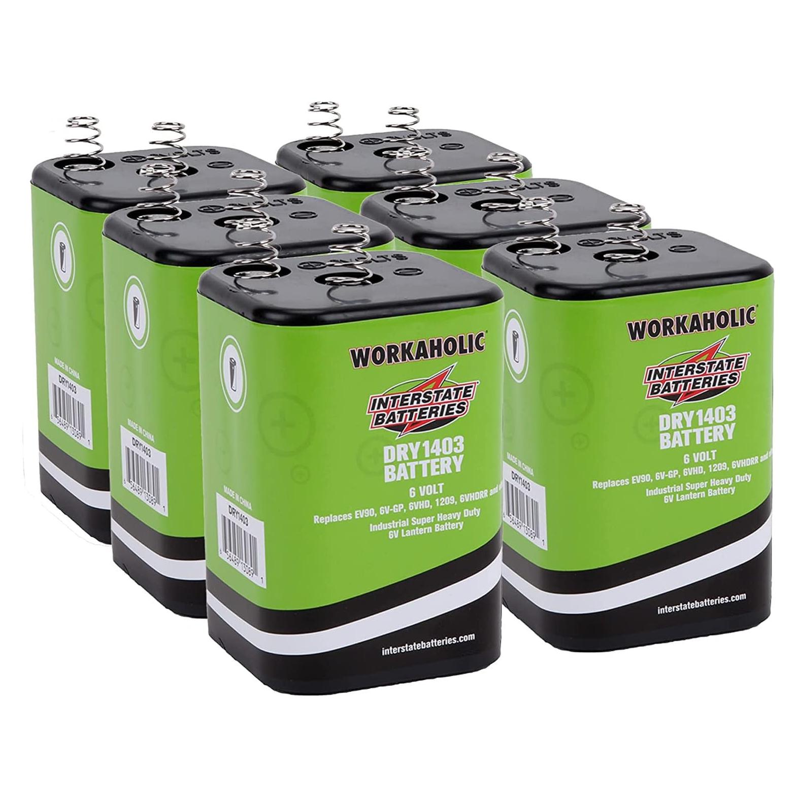 Batería de Linterna 6V Interstate Batteries DRY1403 Paquete de 6