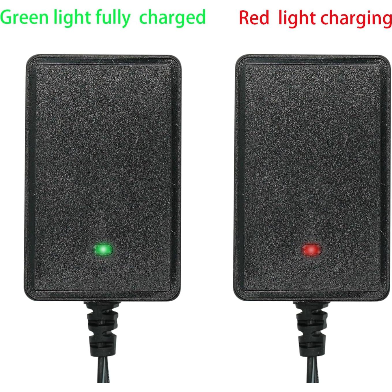 Cargador 12V Fulihua para Coches Eléctricos de Niños