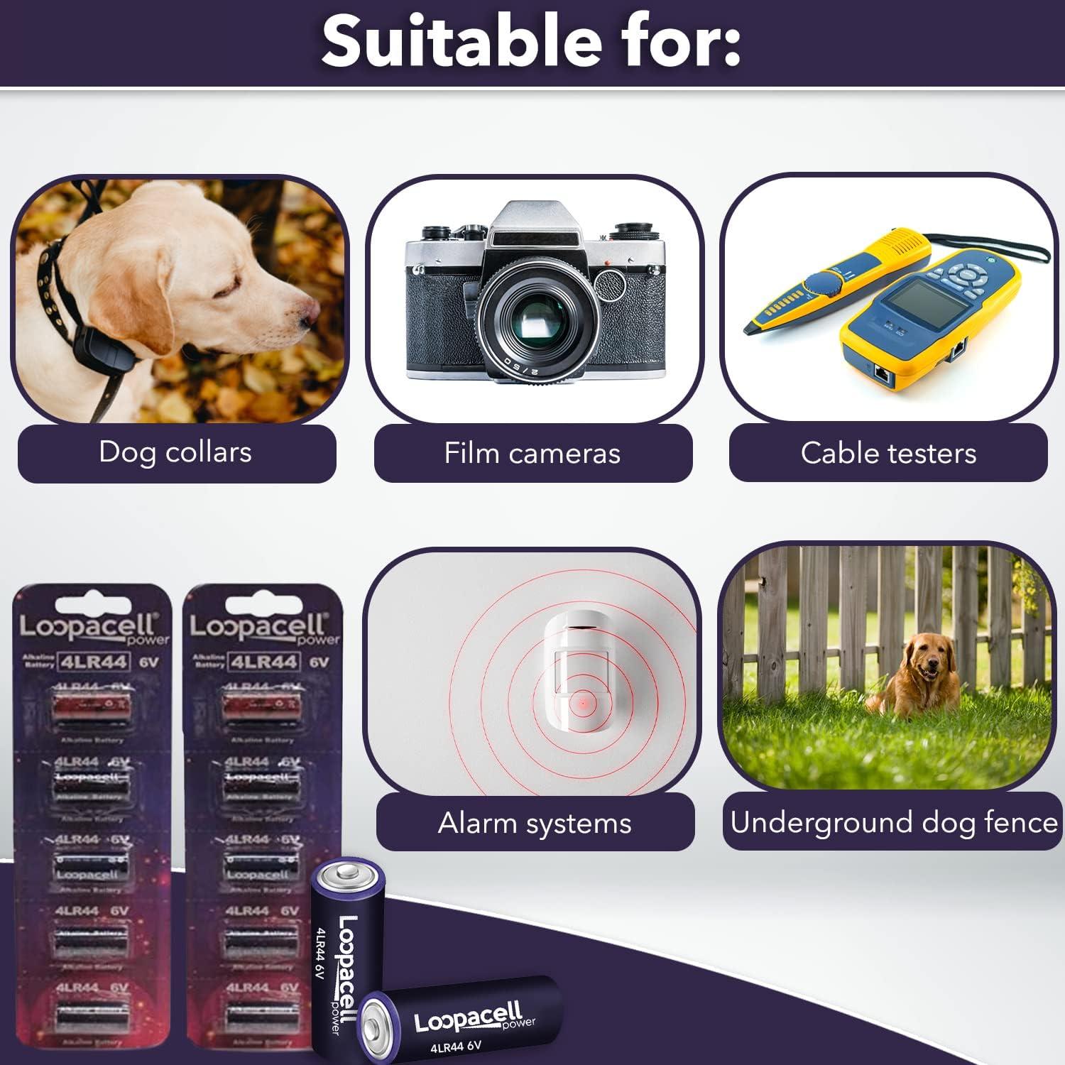 Paquete de 10 Baterías Alcalinas 4LR44 Loopacell 6V