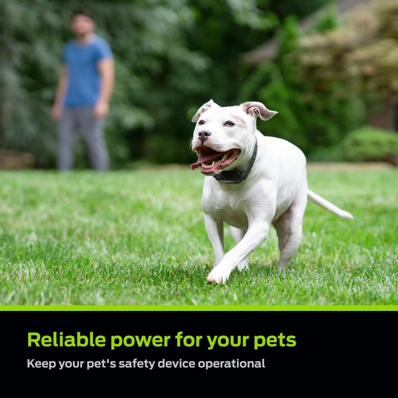 Baterías de Litio 6V Premier Pet - Paquete de 2 Reemplazo