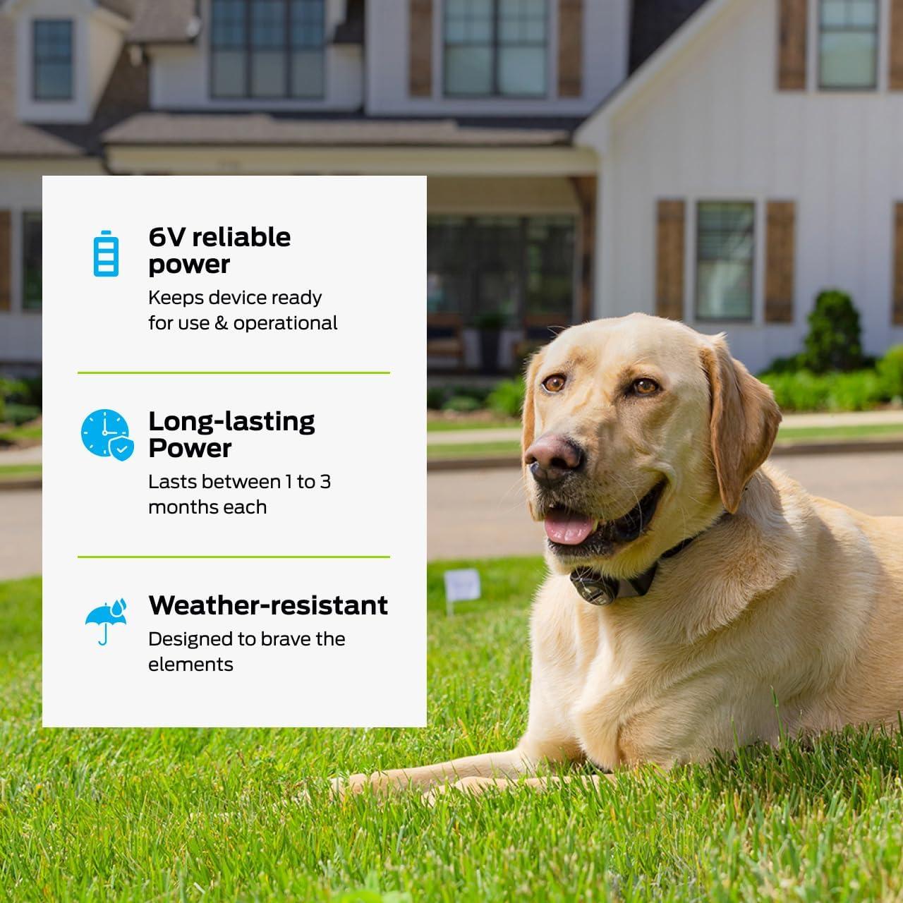 Baterías de Litio 6V Premier Pet - Paquete de 2 Reemplazo