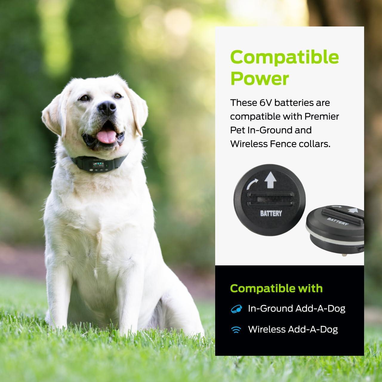 Baterías de Litio 6V Premier Pet - Paquete de 2 Reemplazo