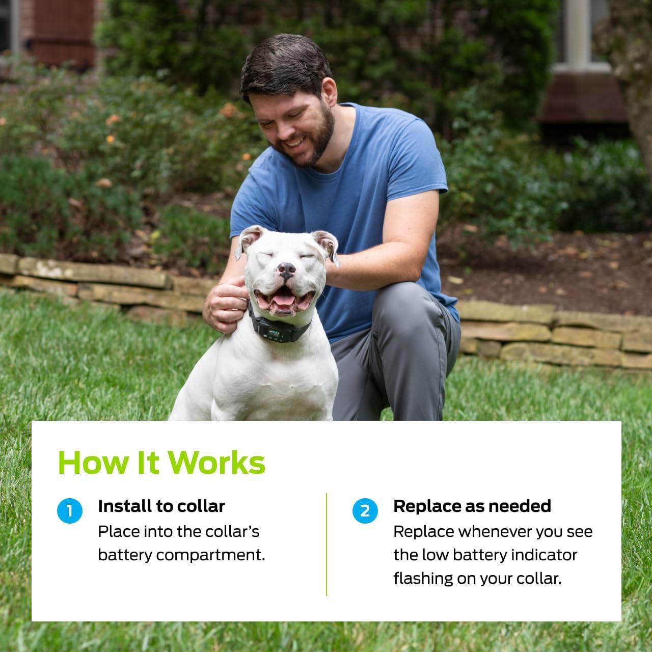 Baterías de Litio 6V Premier Pet - Paquete de 2 Reemplazo