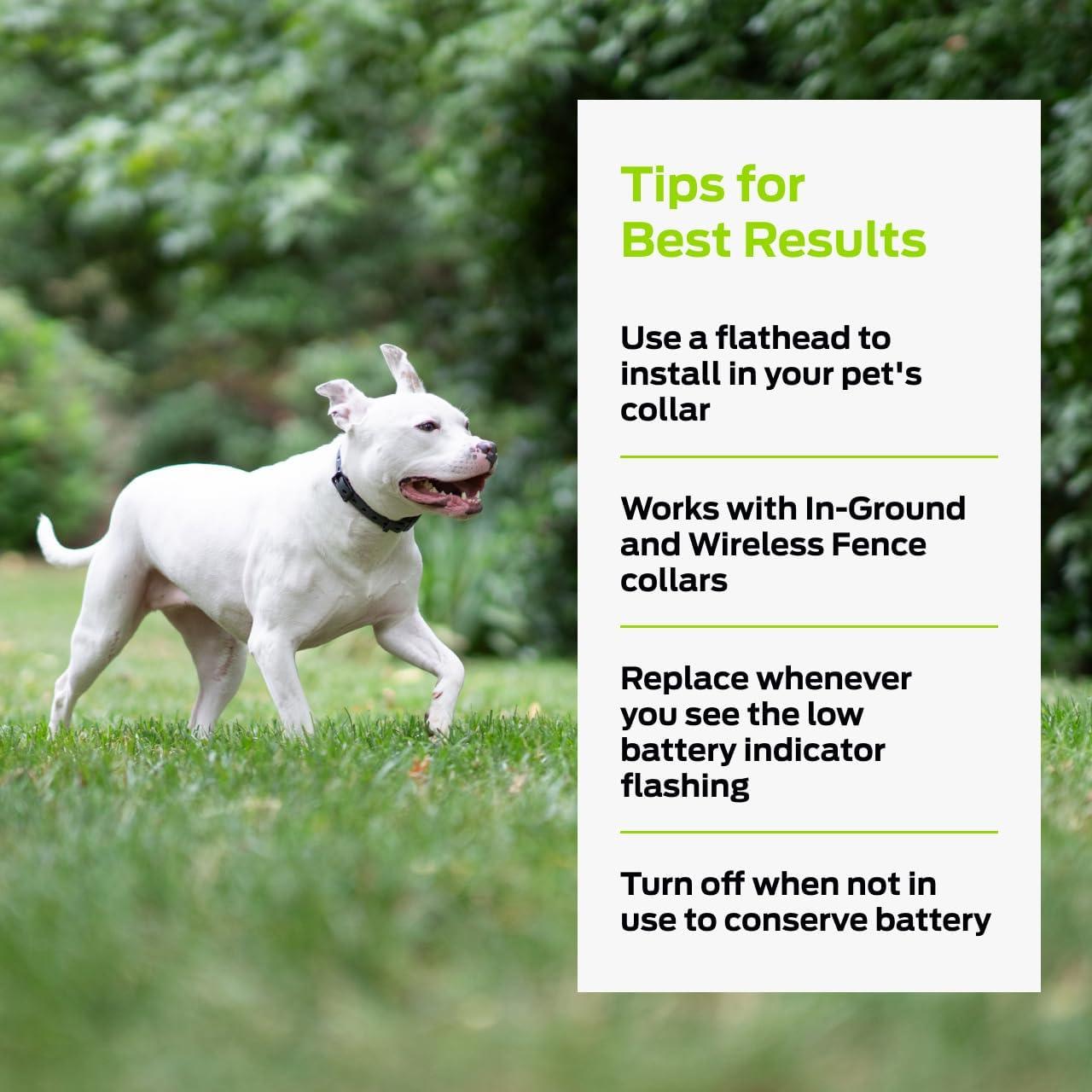 Baterías de Litio 6V Premier Pet - Paquete de 2 Reemplazo