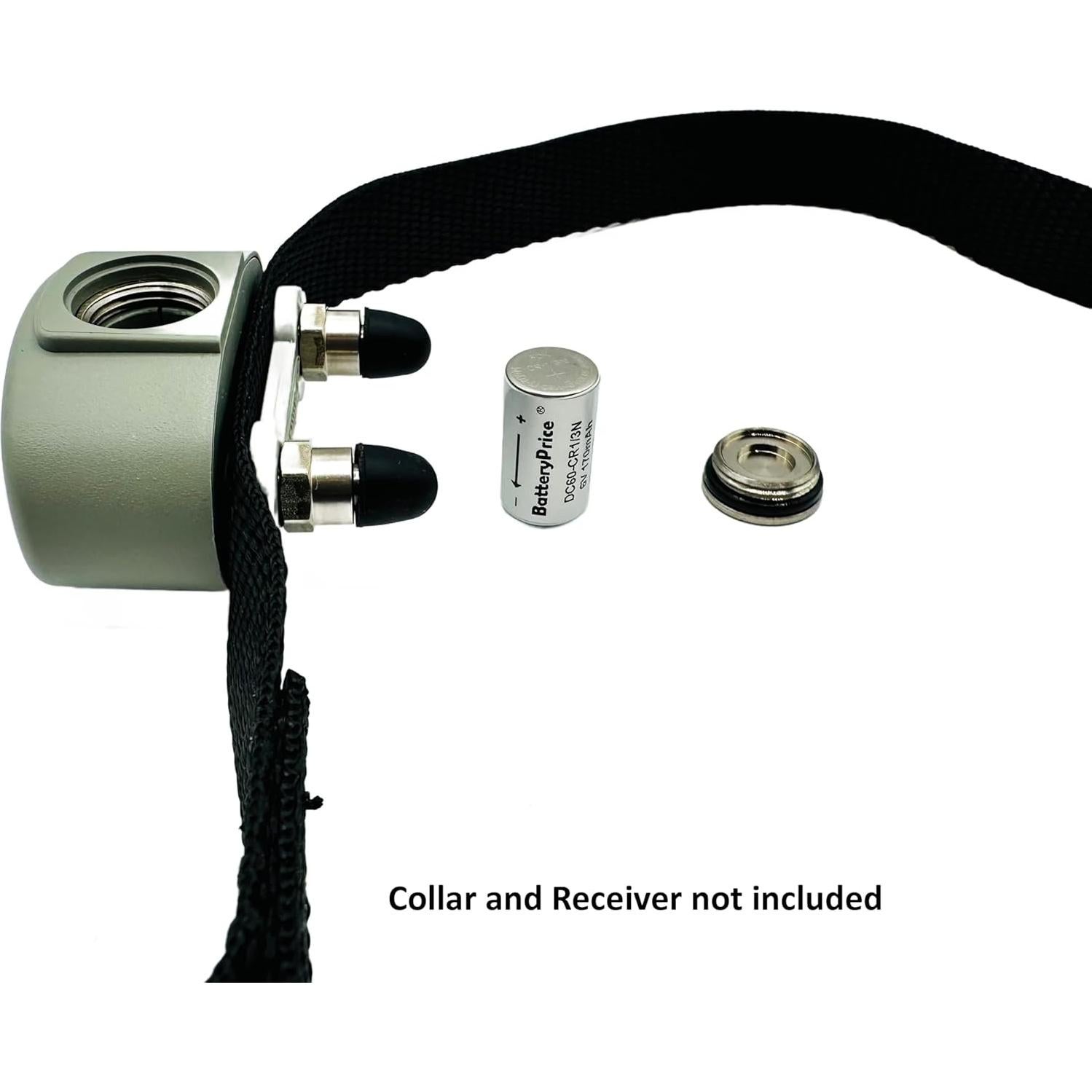 Batería de 6V Lithium BatteryPrice para Collares Pet Stop