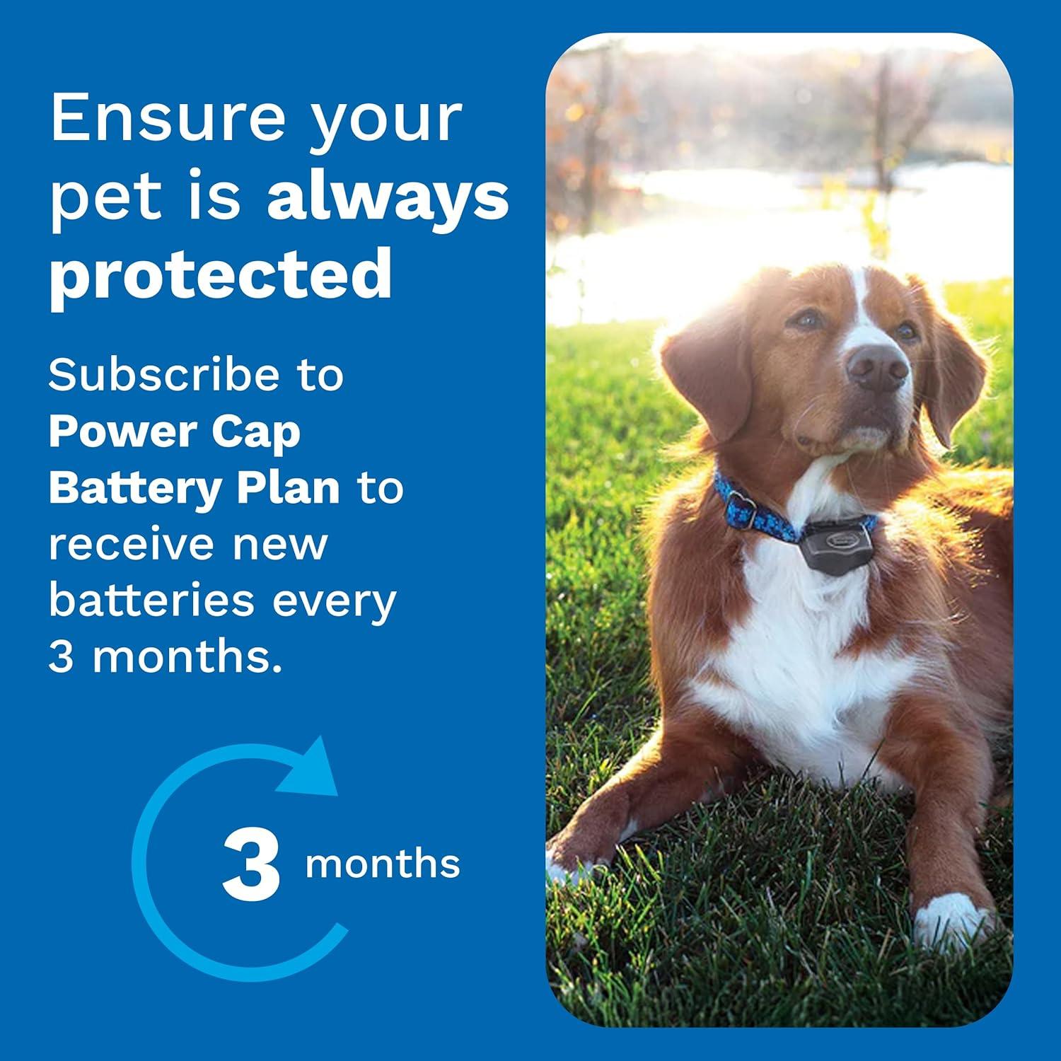 Batería Power Cap Invisible Fence - Reemplazo para collares - Paquete de 2