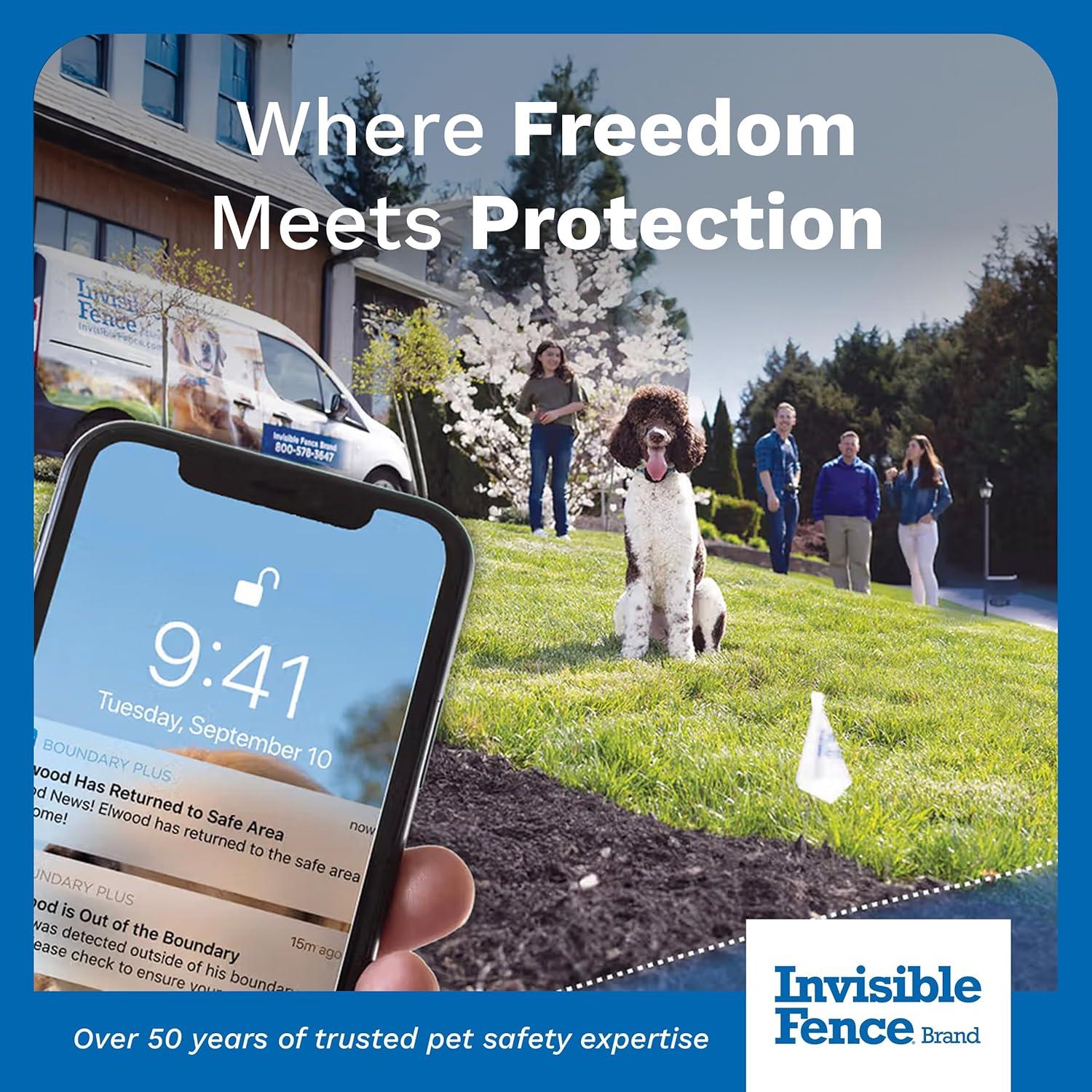 Batería Power Cap Invisible Fence - Reemplazo para collares - Paquete de 2