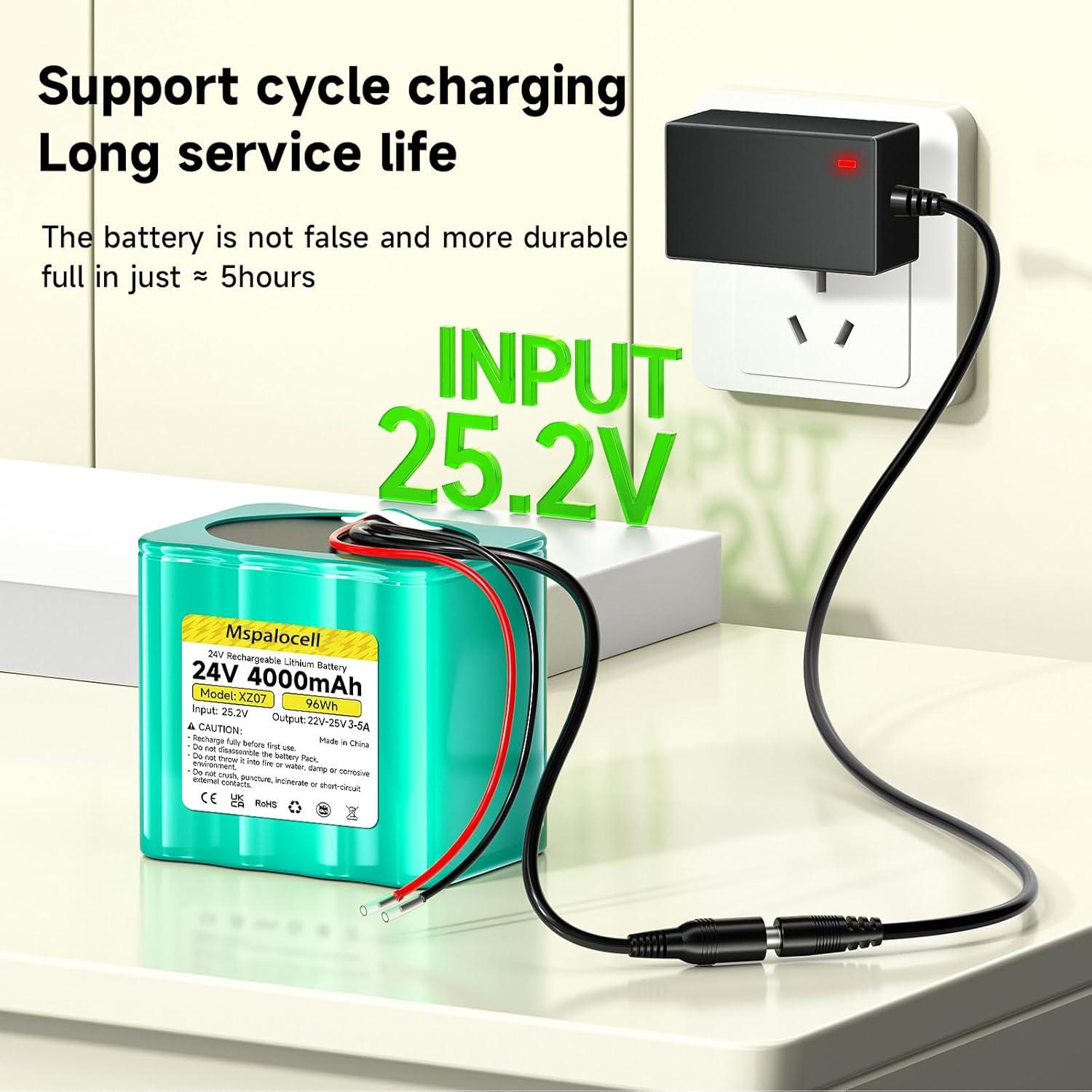 Batería de Litio 24V 4Ah Mspalocell con Cargador y Cables